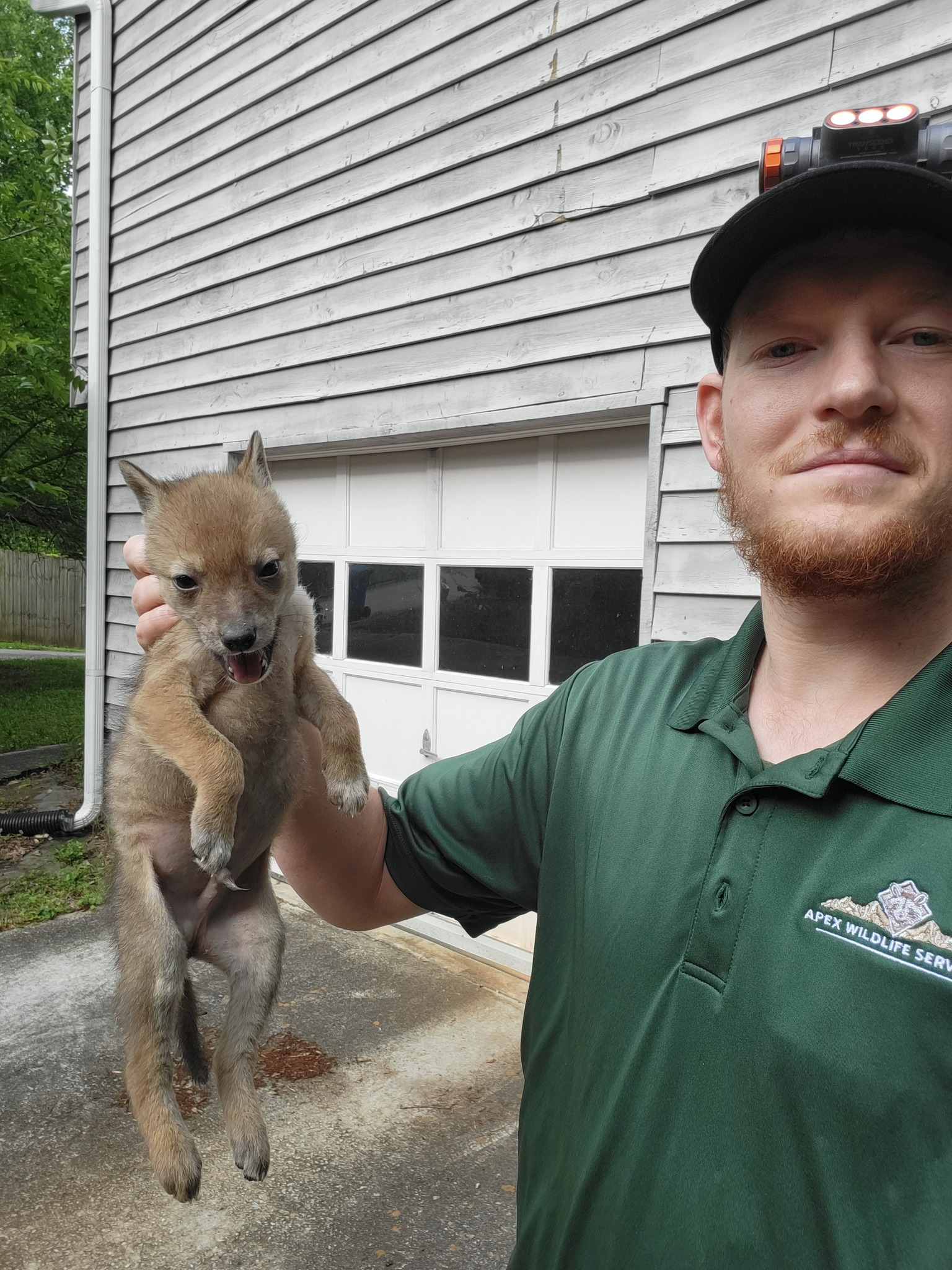 Apex Wildlife Services's image