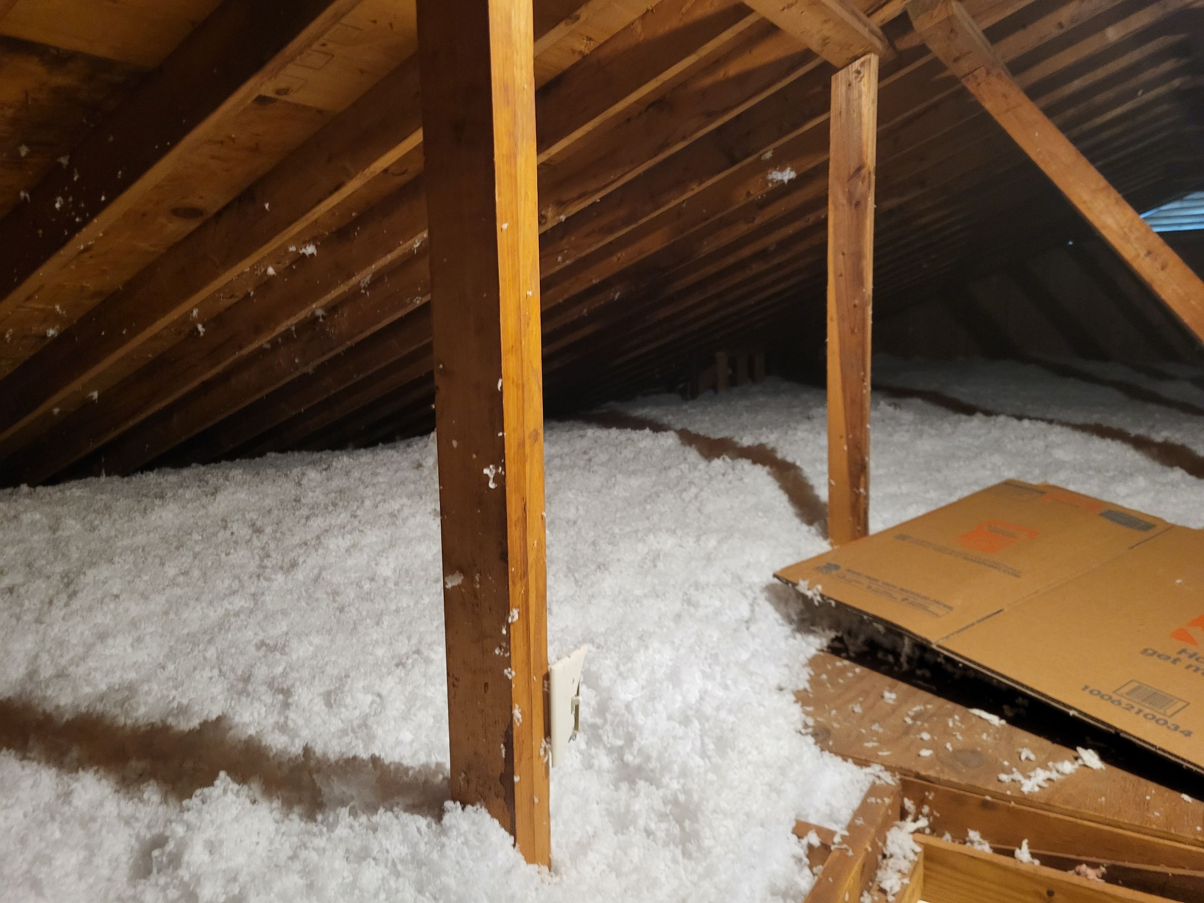 Apex Wildlife Services's image