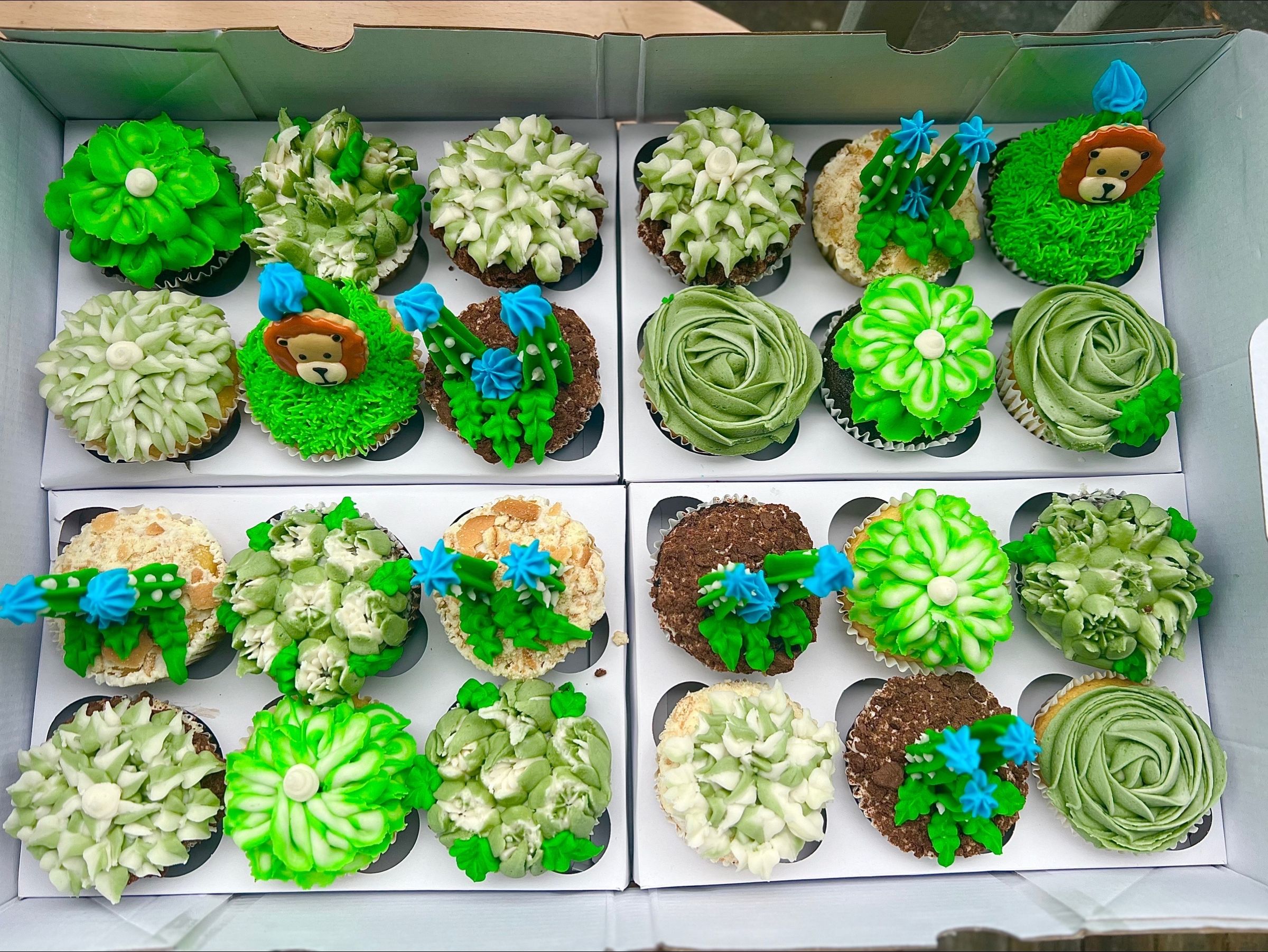 Succulent Cupcakes