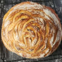 Wildly Doughmestic 's image