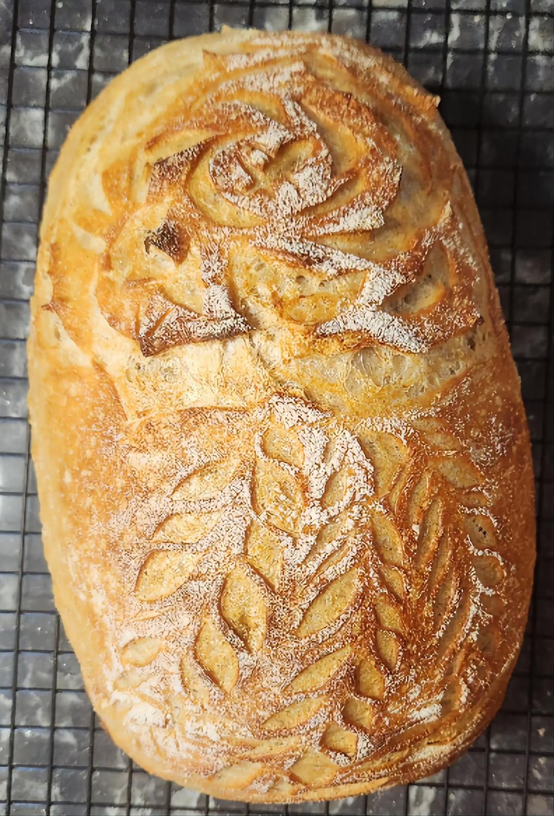 Wildly Doughmestic 's image