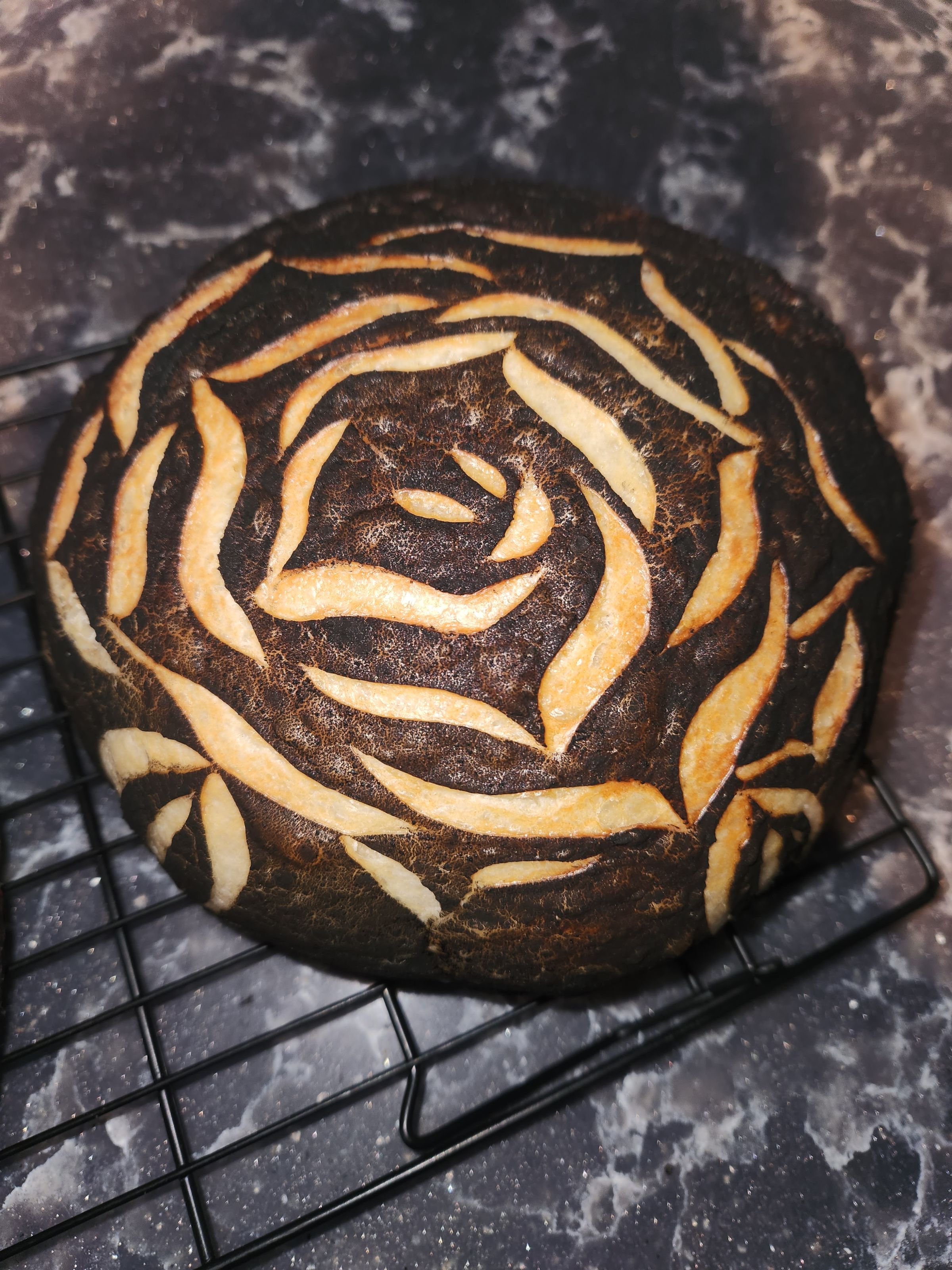 Wildly Doughmestic 's image
