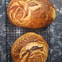 Wildly Doughmestic 's image