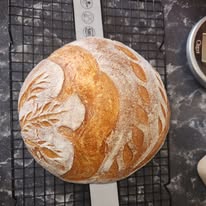 Wildly Doughmestic 's image