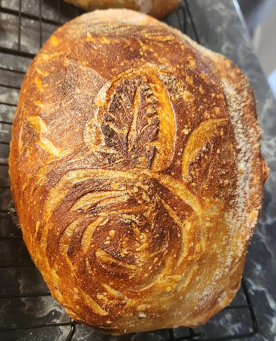 Wildly Doughmestic 's image