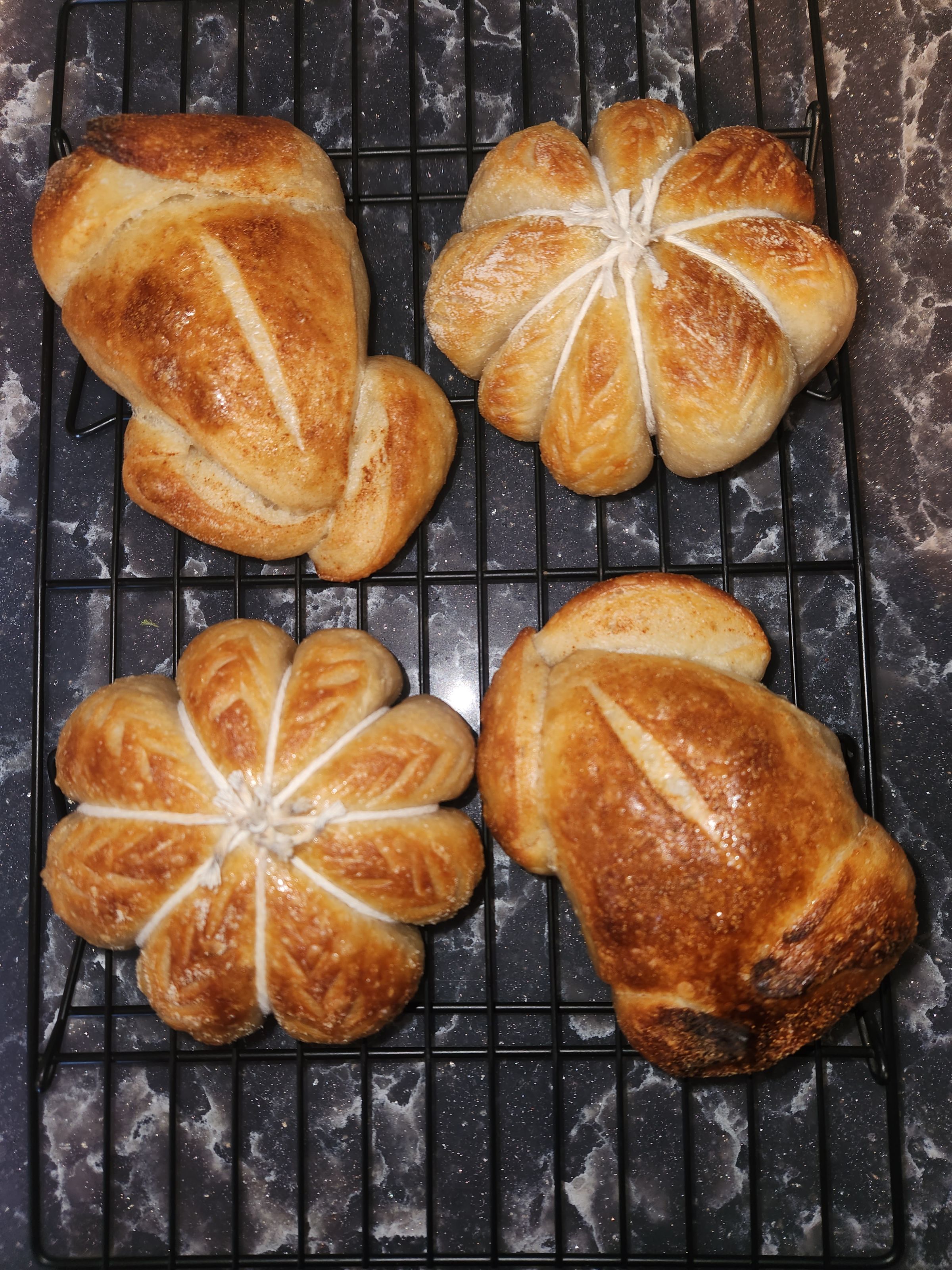 Wildly Doughmestic 's image