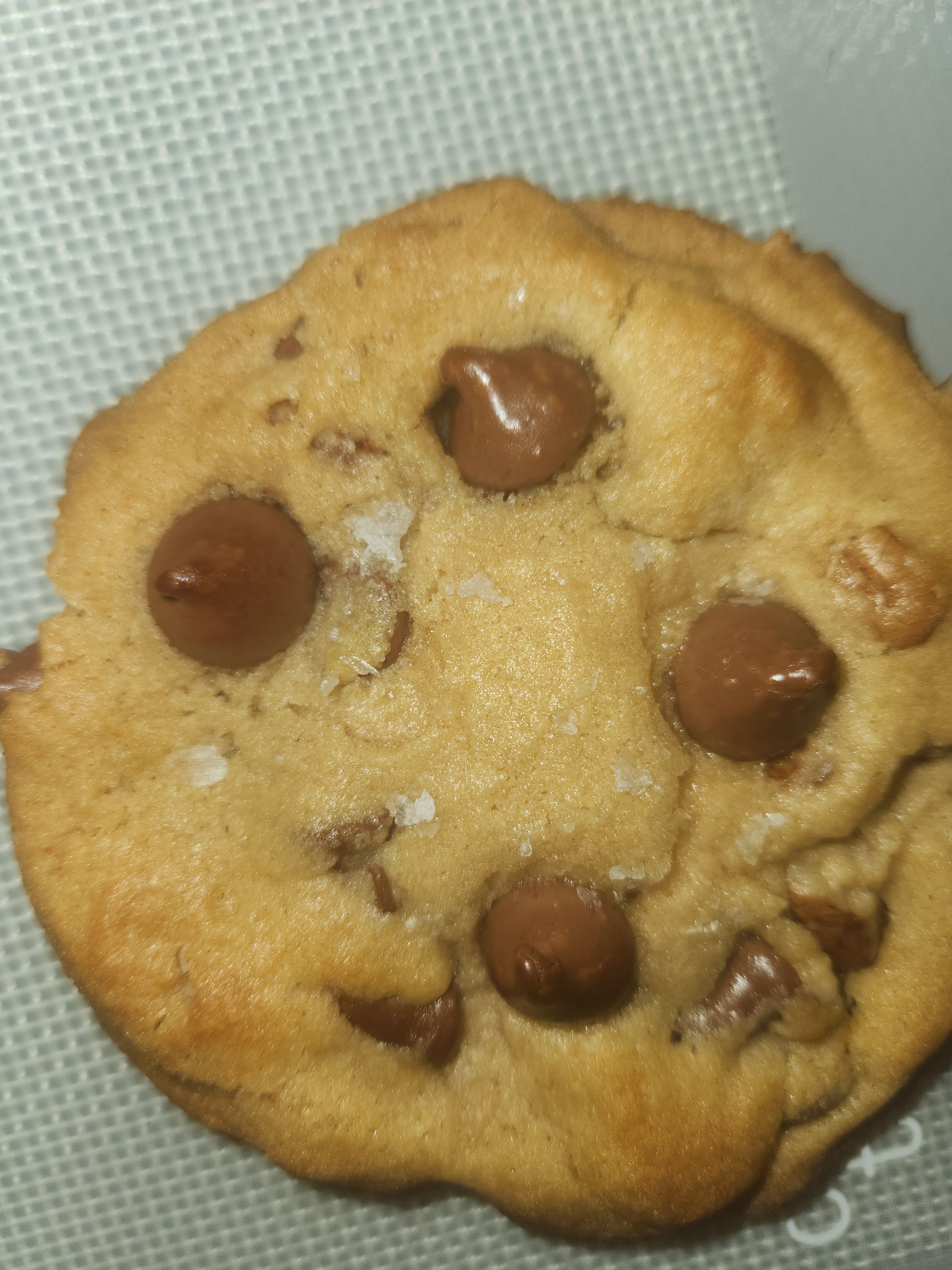 Wildly Doughmestic 's image