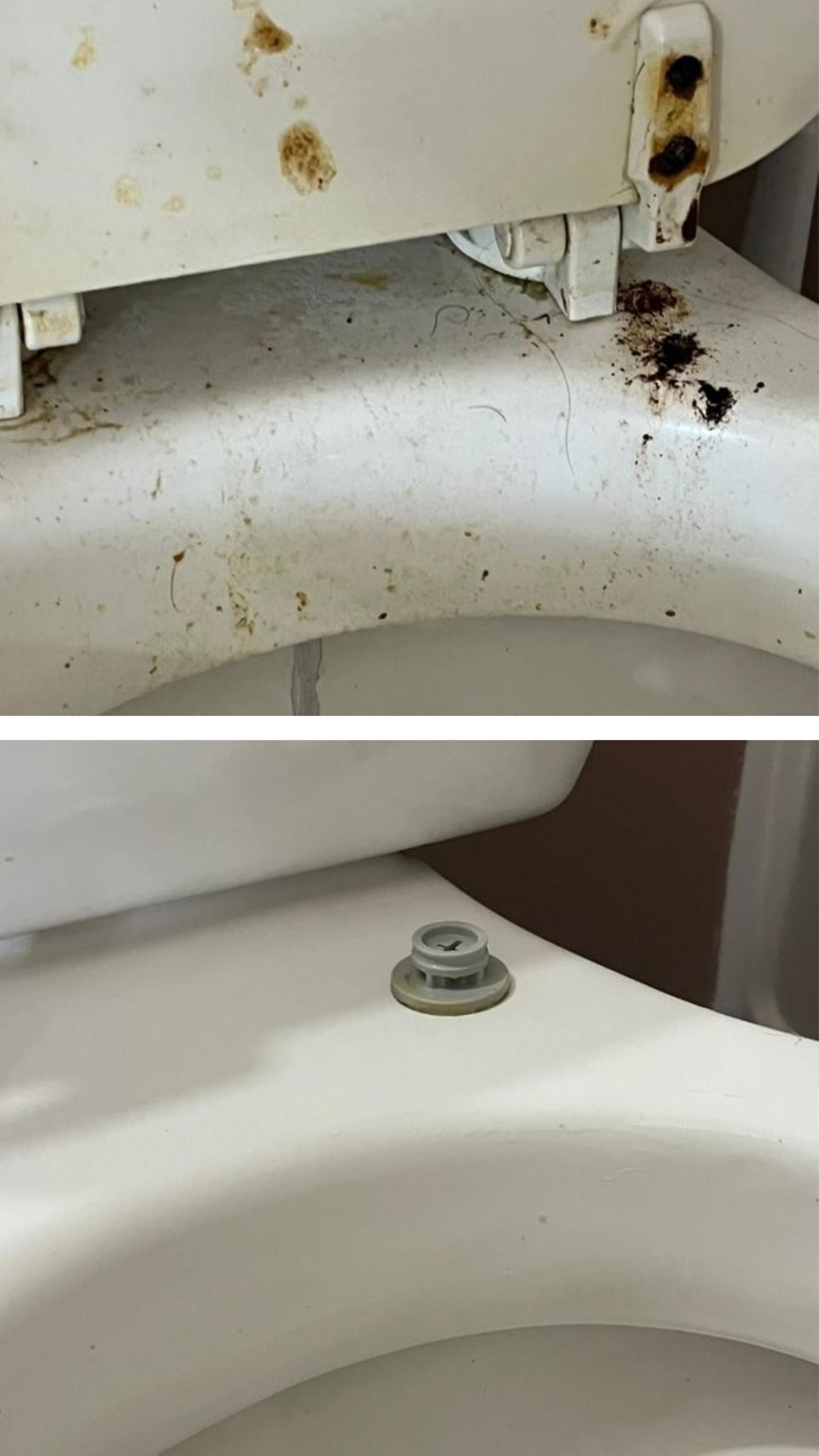 Anchor Cleaning Solutions's image