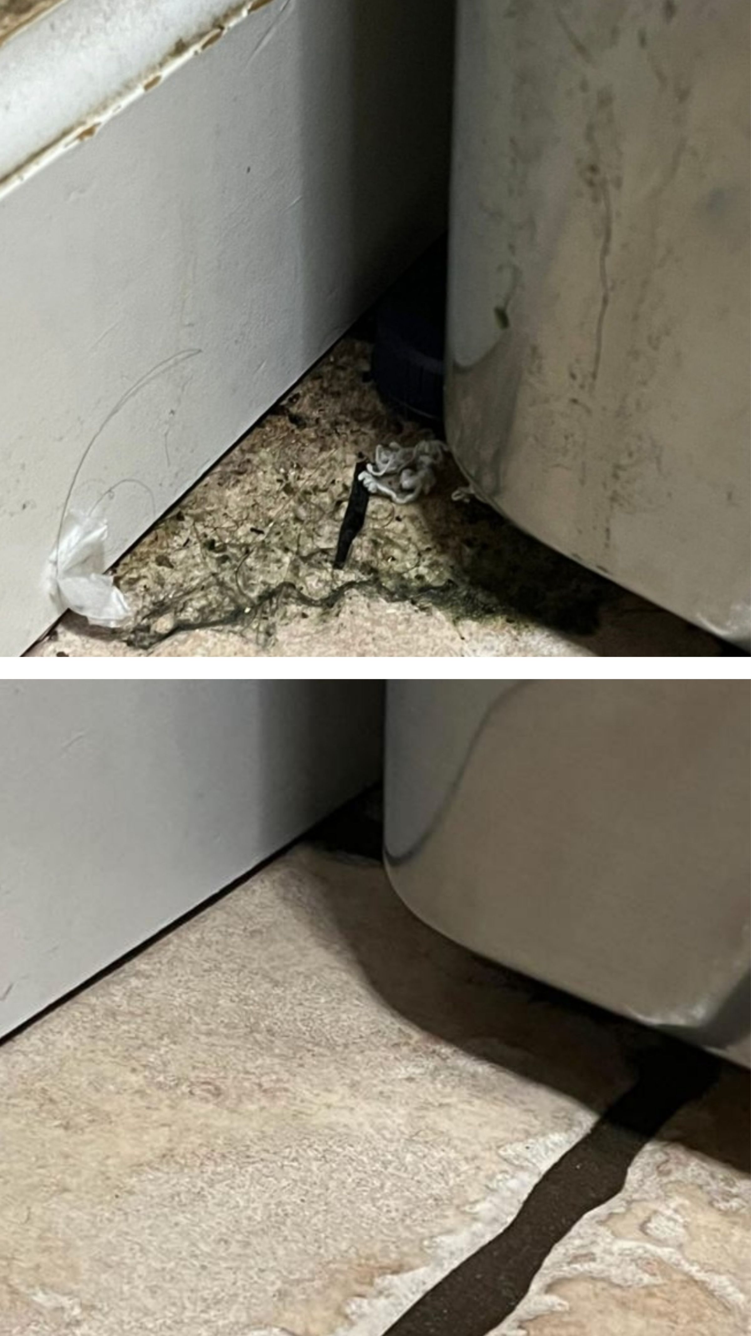 Anchor Cleaning Solutions's image