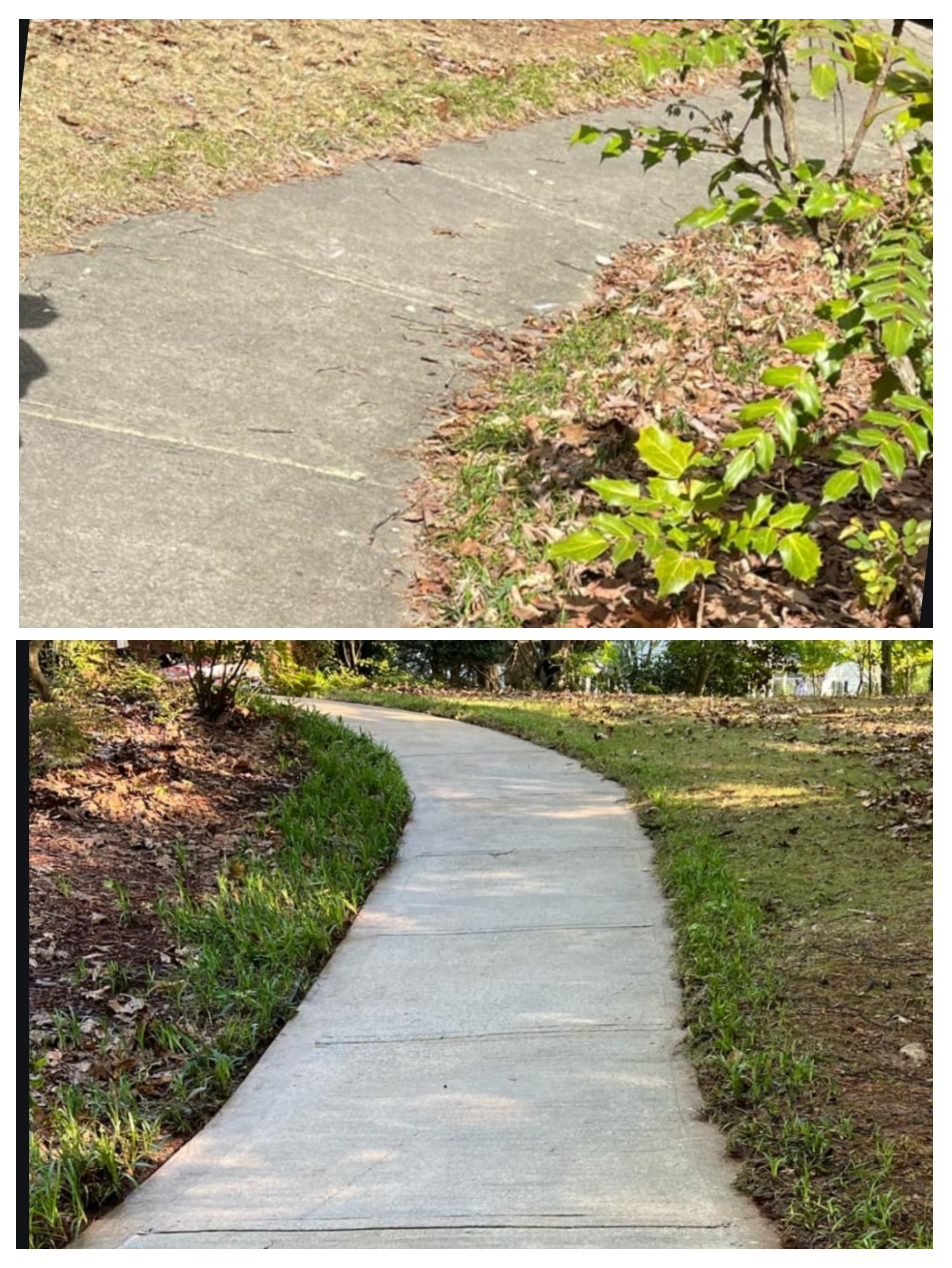 Anchor Cleaning Solutions's image