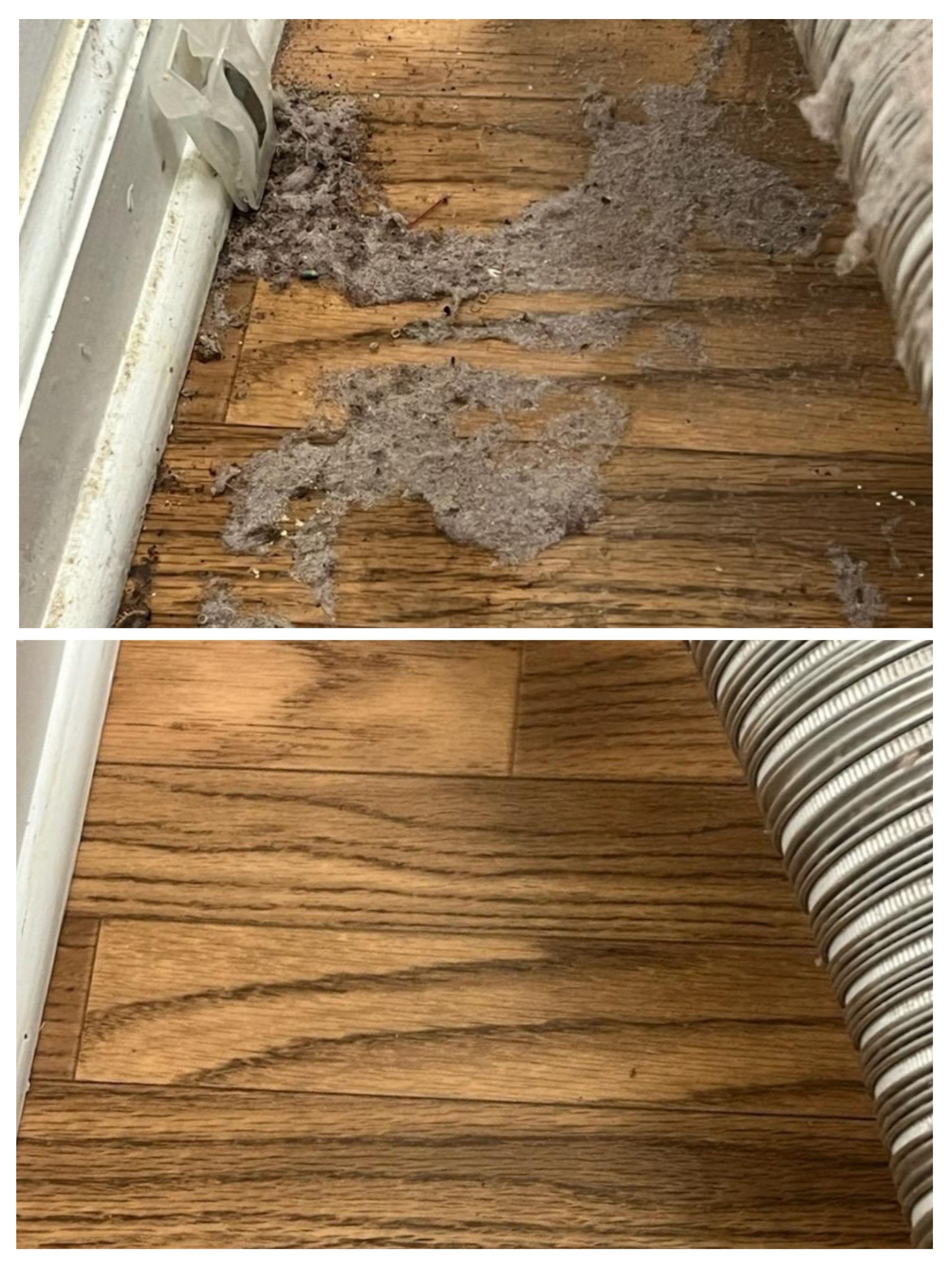 Anchor Cleaning Solutions's image