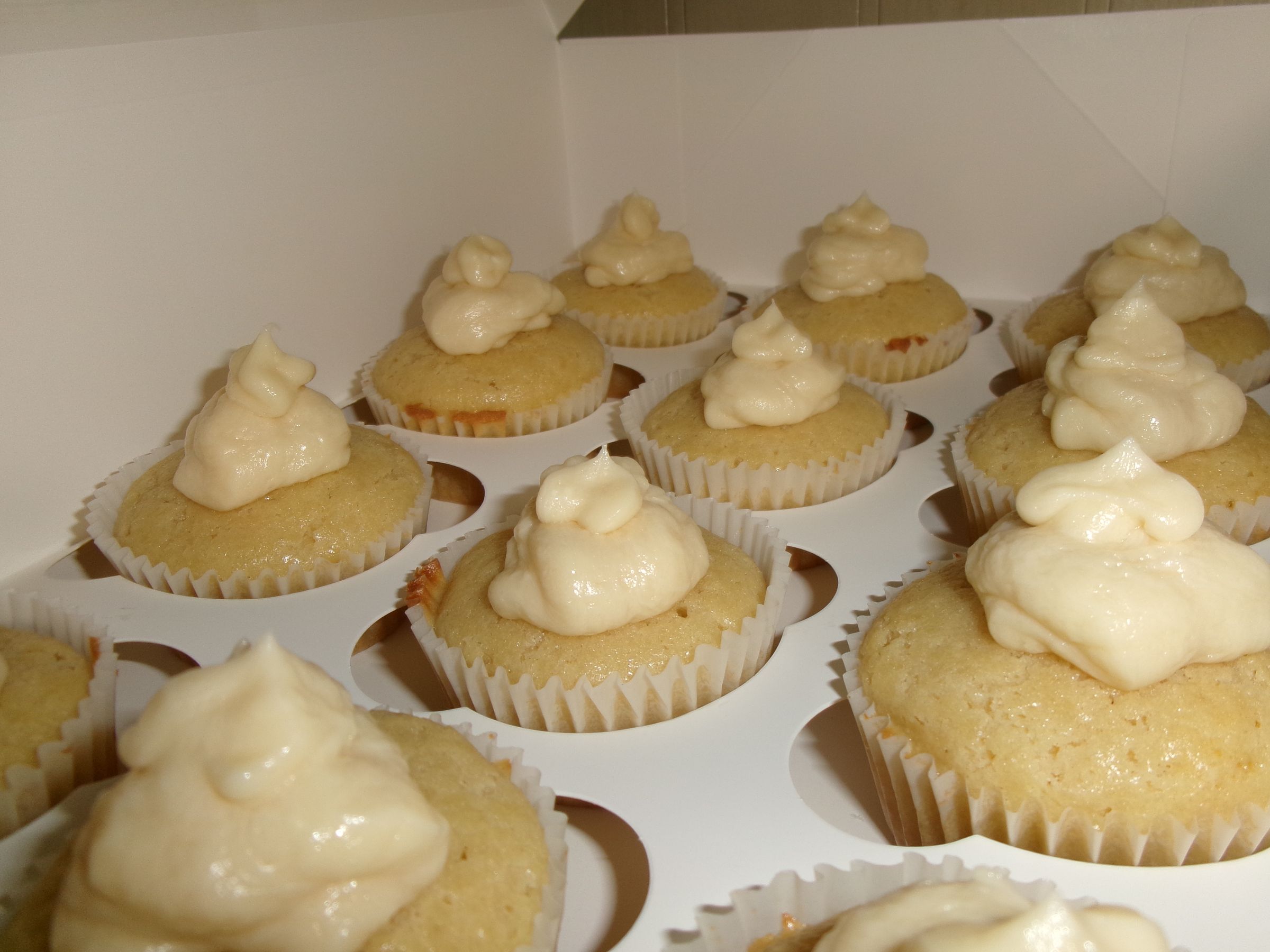 Vanilla Cupcake