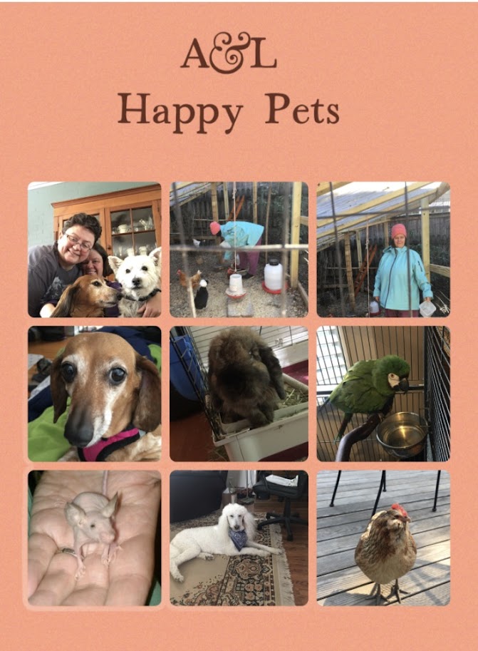 A&L Happy Pets's image