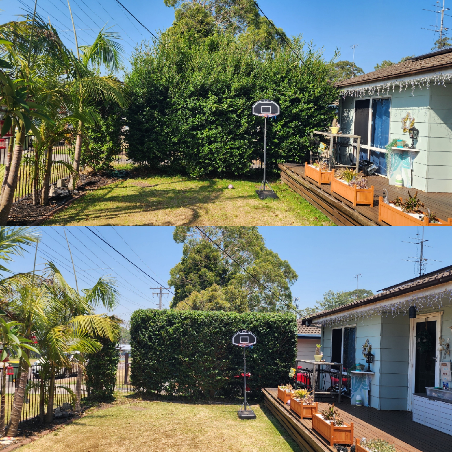 Central Coast Lawncare Lawn Mowing Gardening's image