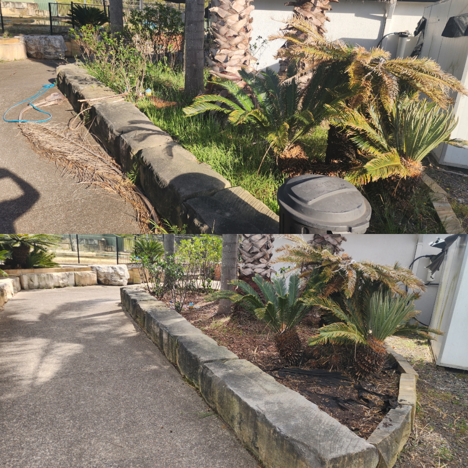 Central Coast Lawncare Lawn Mowing Gardening's image