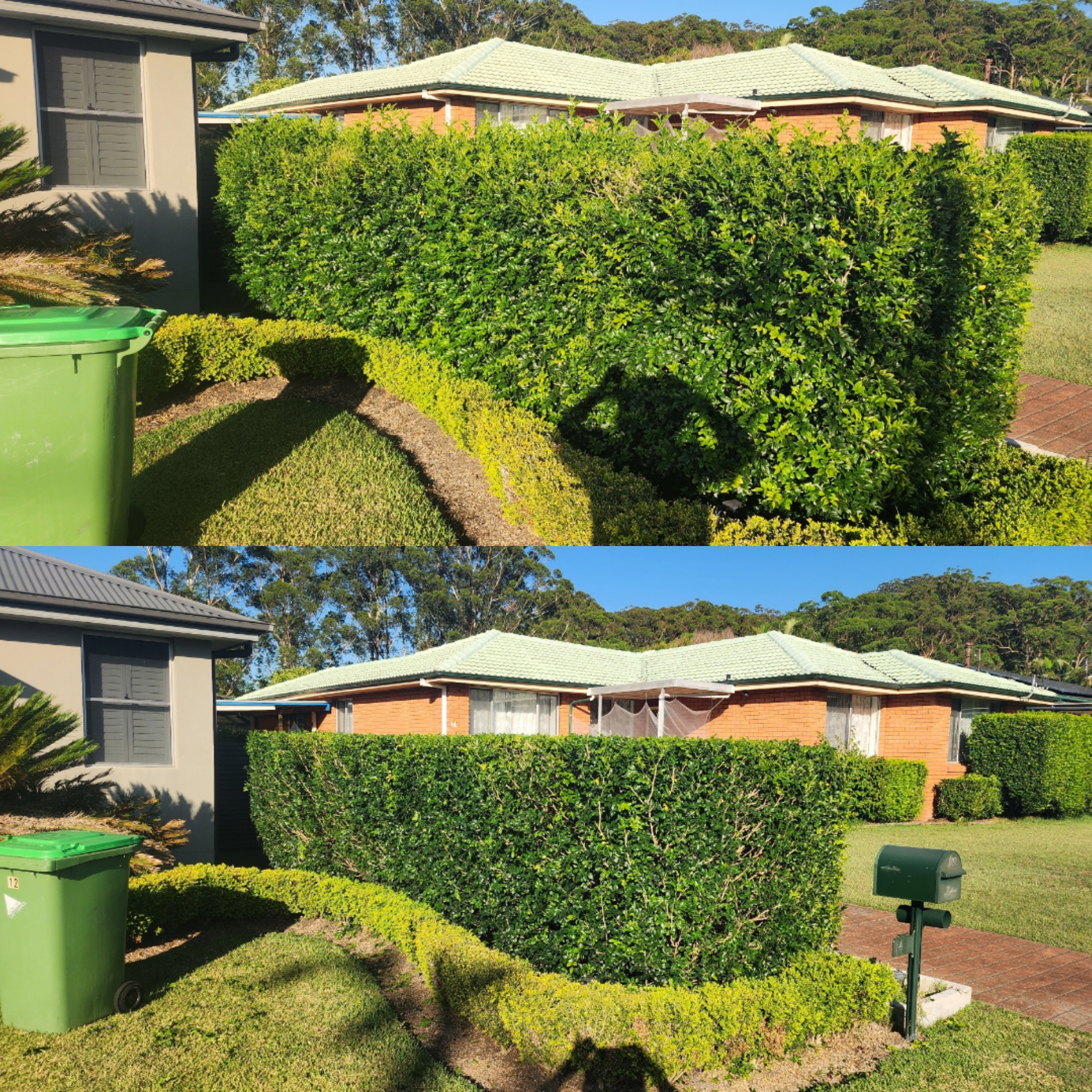 Central Coast Lawncare Lawn Mowing Gardening's image