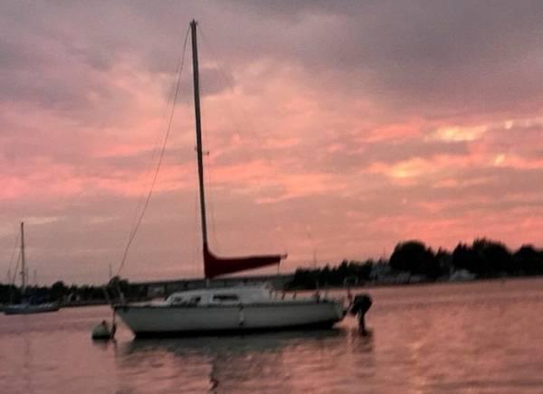 Talon Aerial Media USA's image