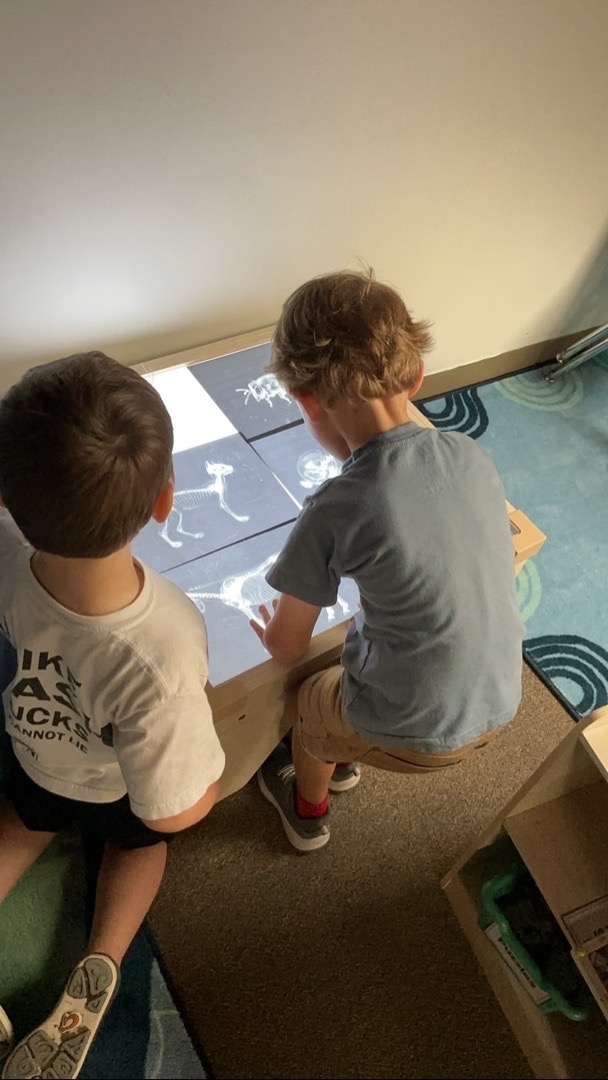 Heart + Harmony Kids's image