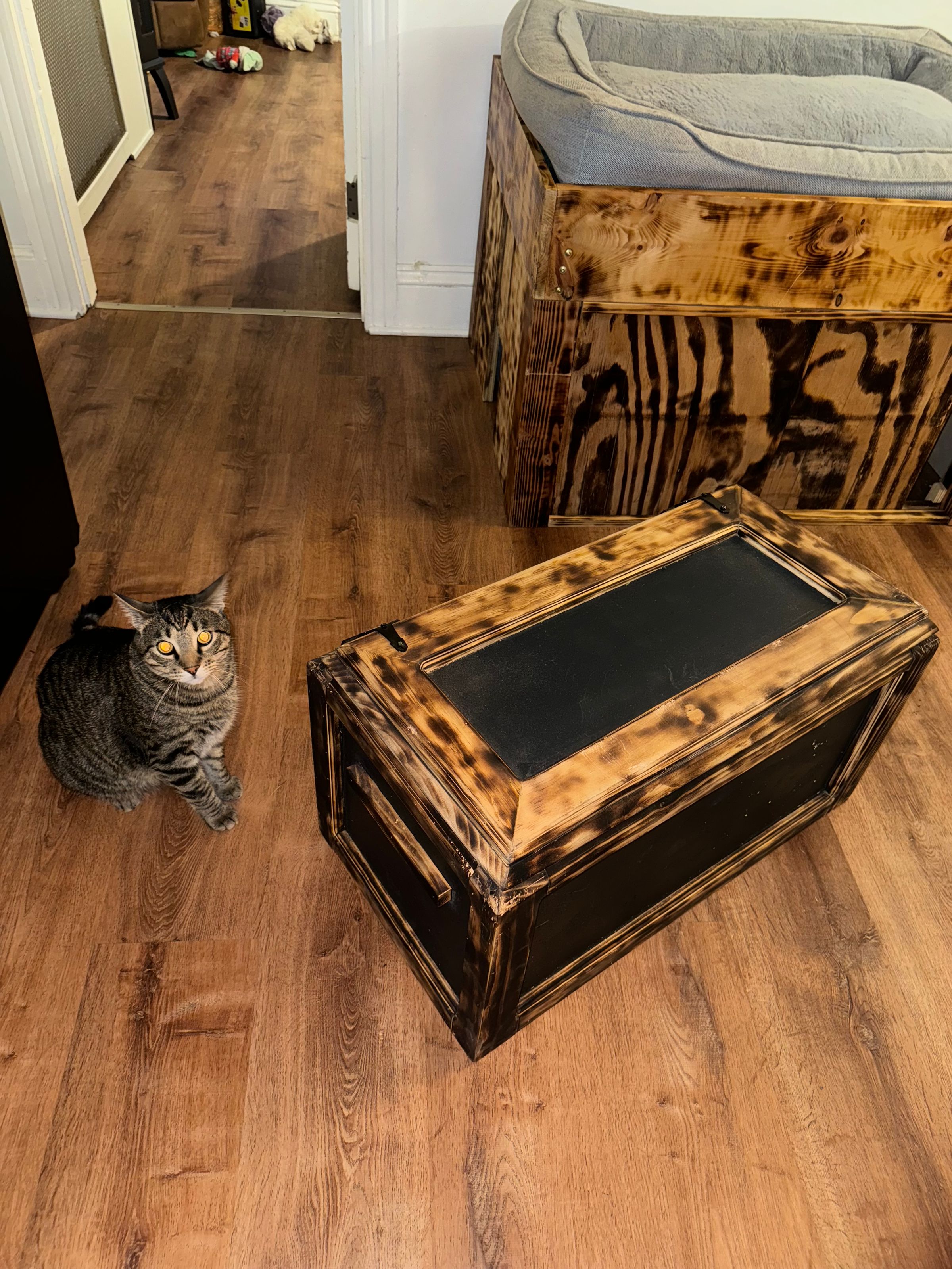 Cat Litter and Pee Pad Storage 