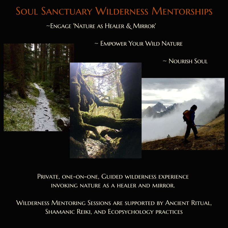 OWL ROSE WELLNESS's image