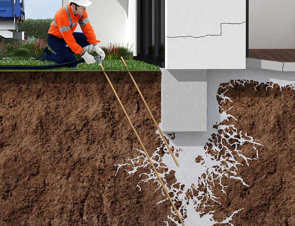 Steadfast Soil Stabilization 's image