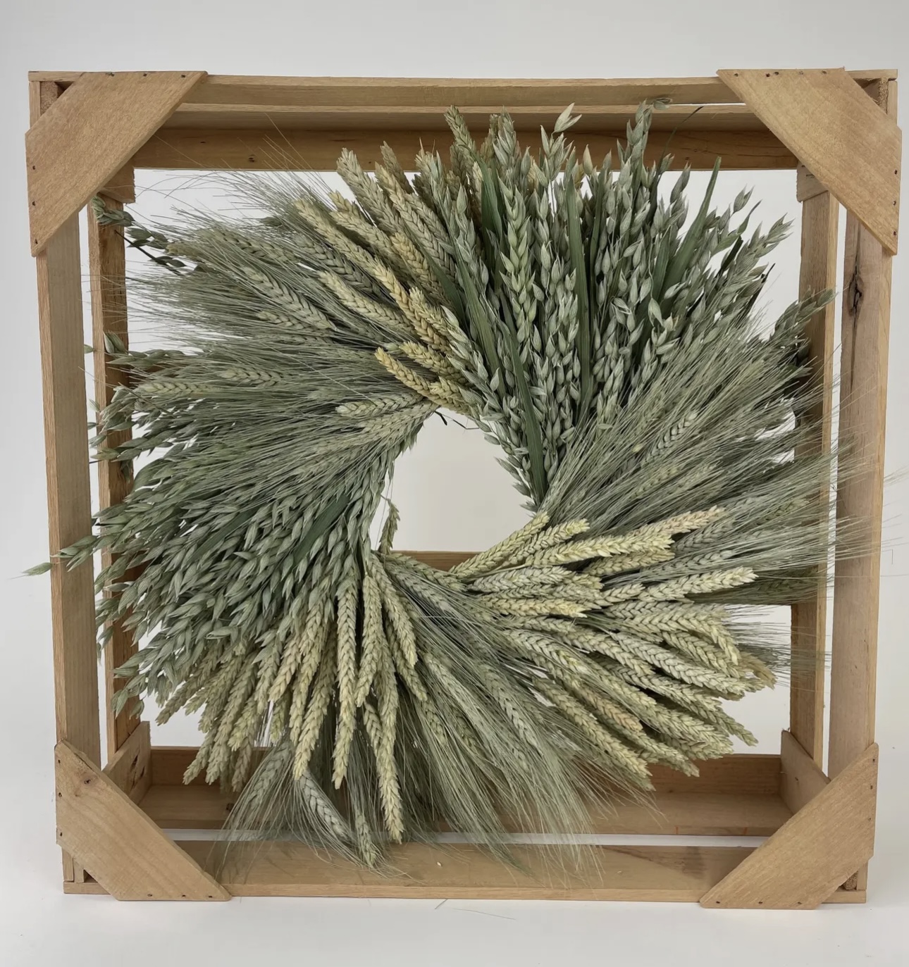 The Homestead Collective's image