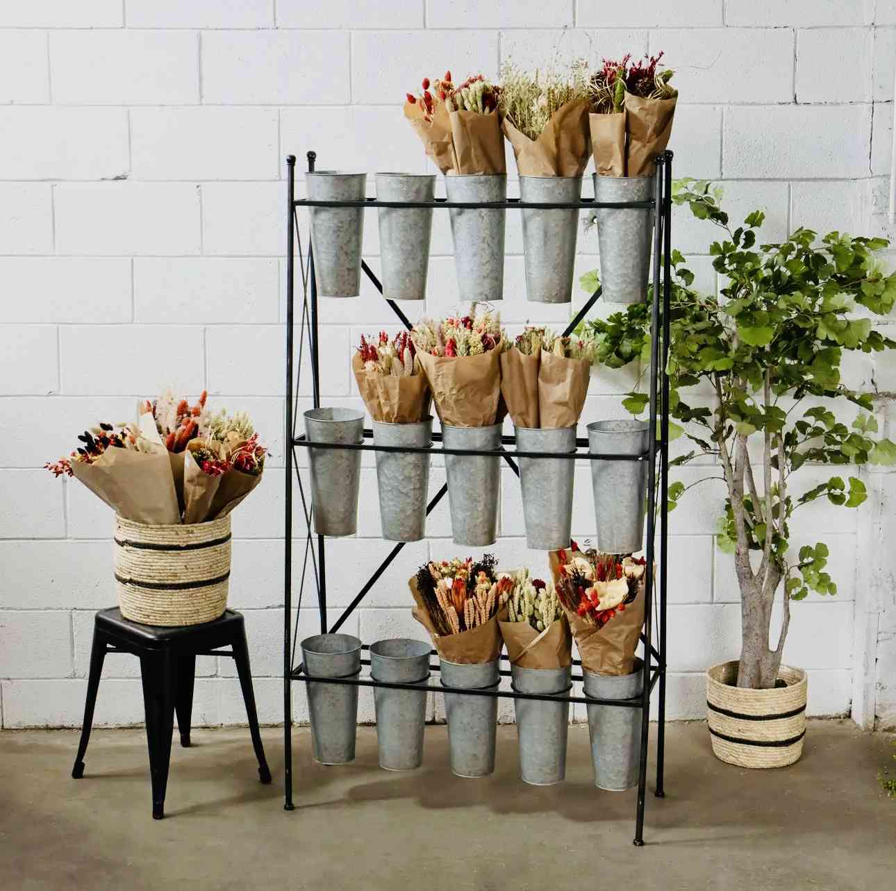 The Homestead Collective's image