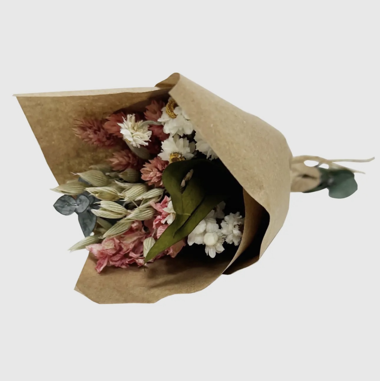 The Homestead Collective's image