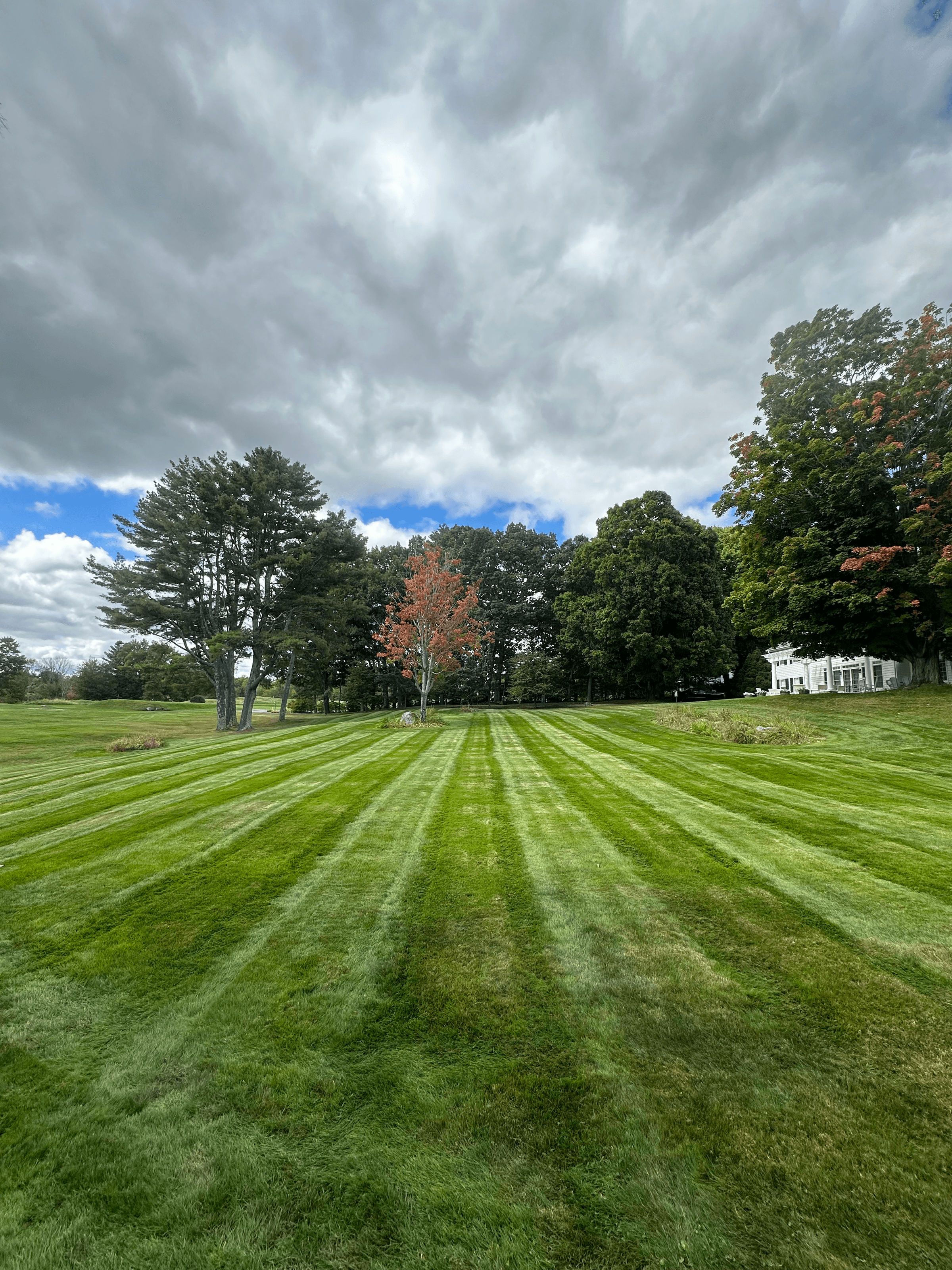 Tanglewood Property Services's image