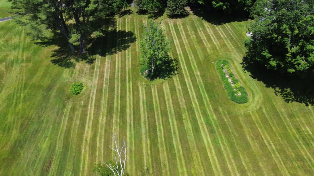 Tanglewood Property Services's image