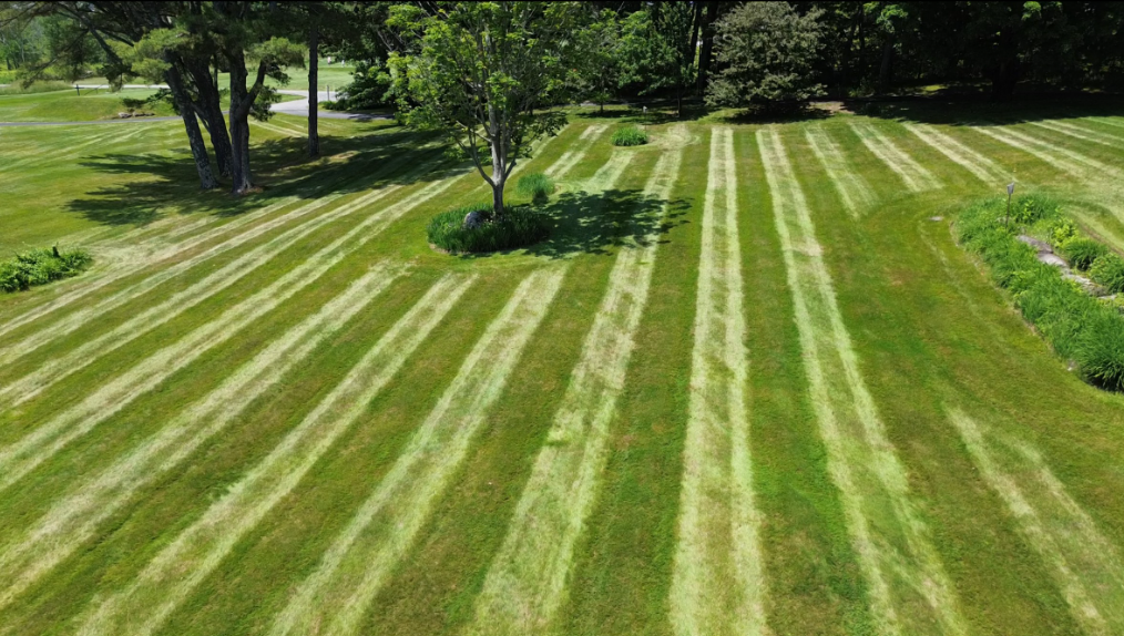 Tanglewood Property Services's image