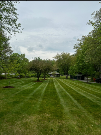 Tanglewood Property Services's image