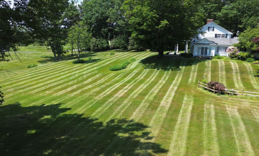 Tanglewood Property Services's image