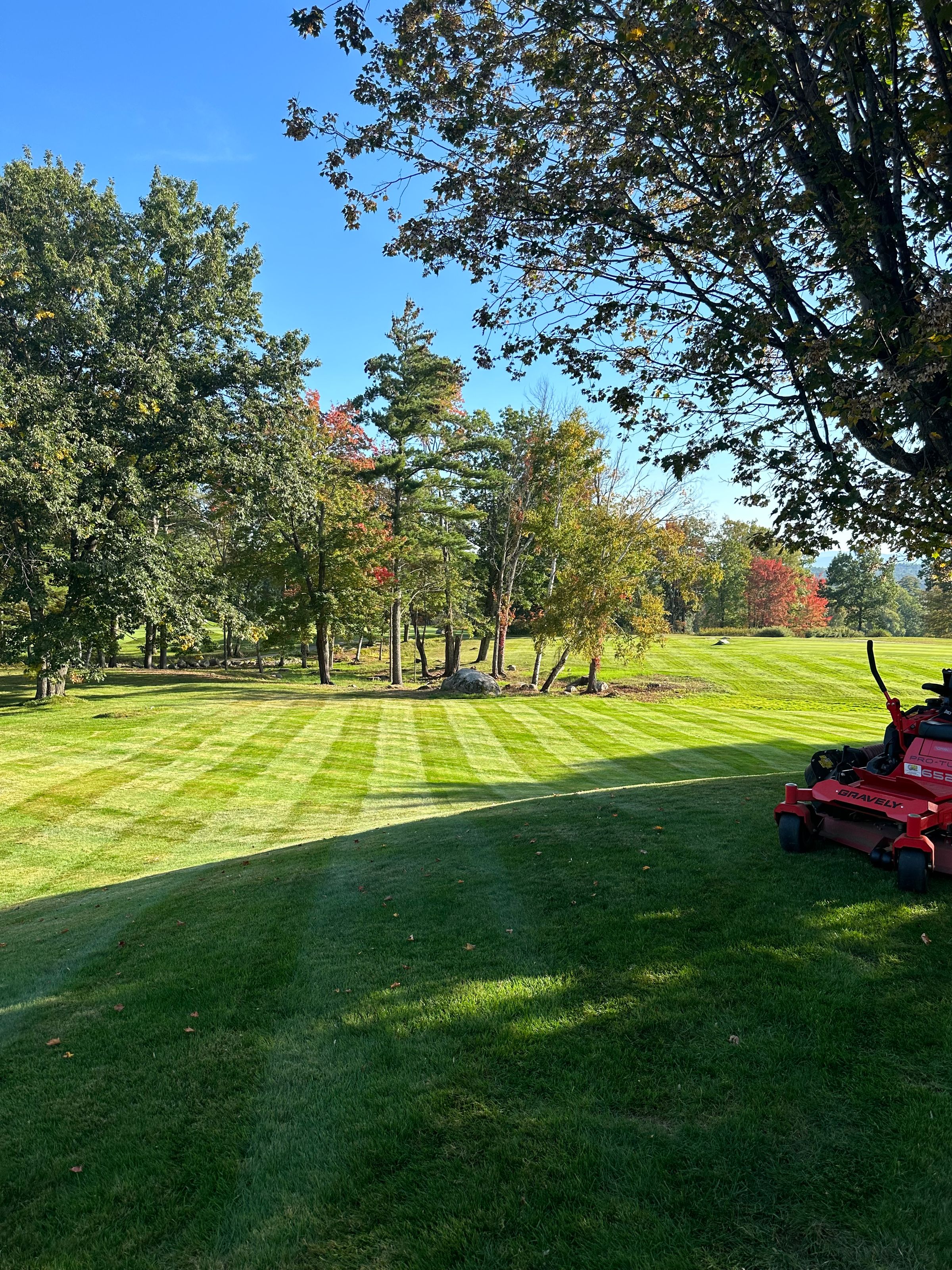 Tanglewood Property Services's image