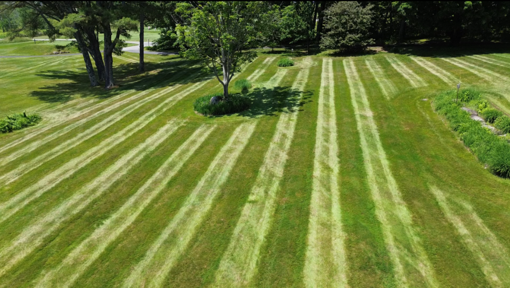 Tanglewood Property Services's image