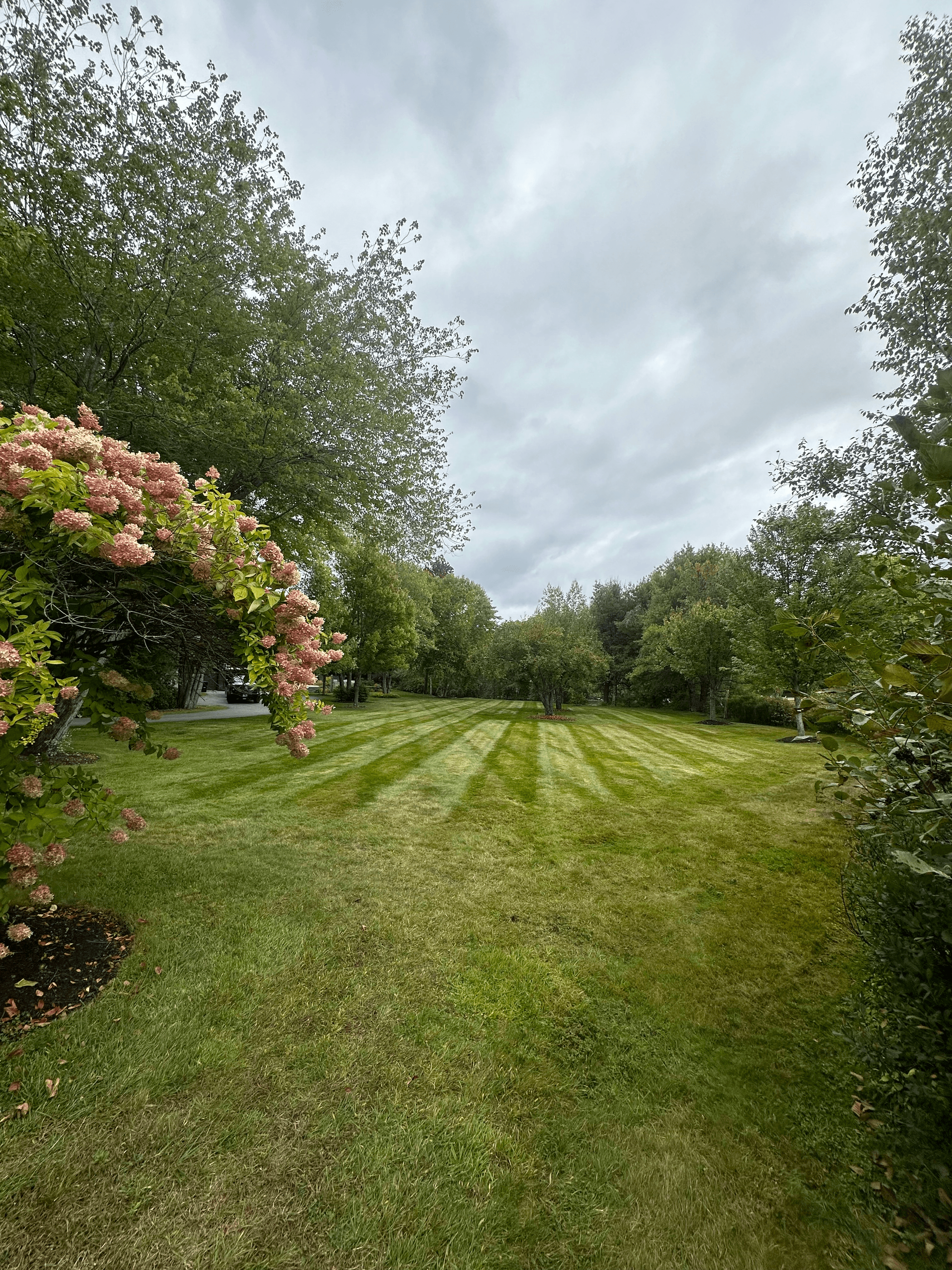 Tanglewood Property Services's image