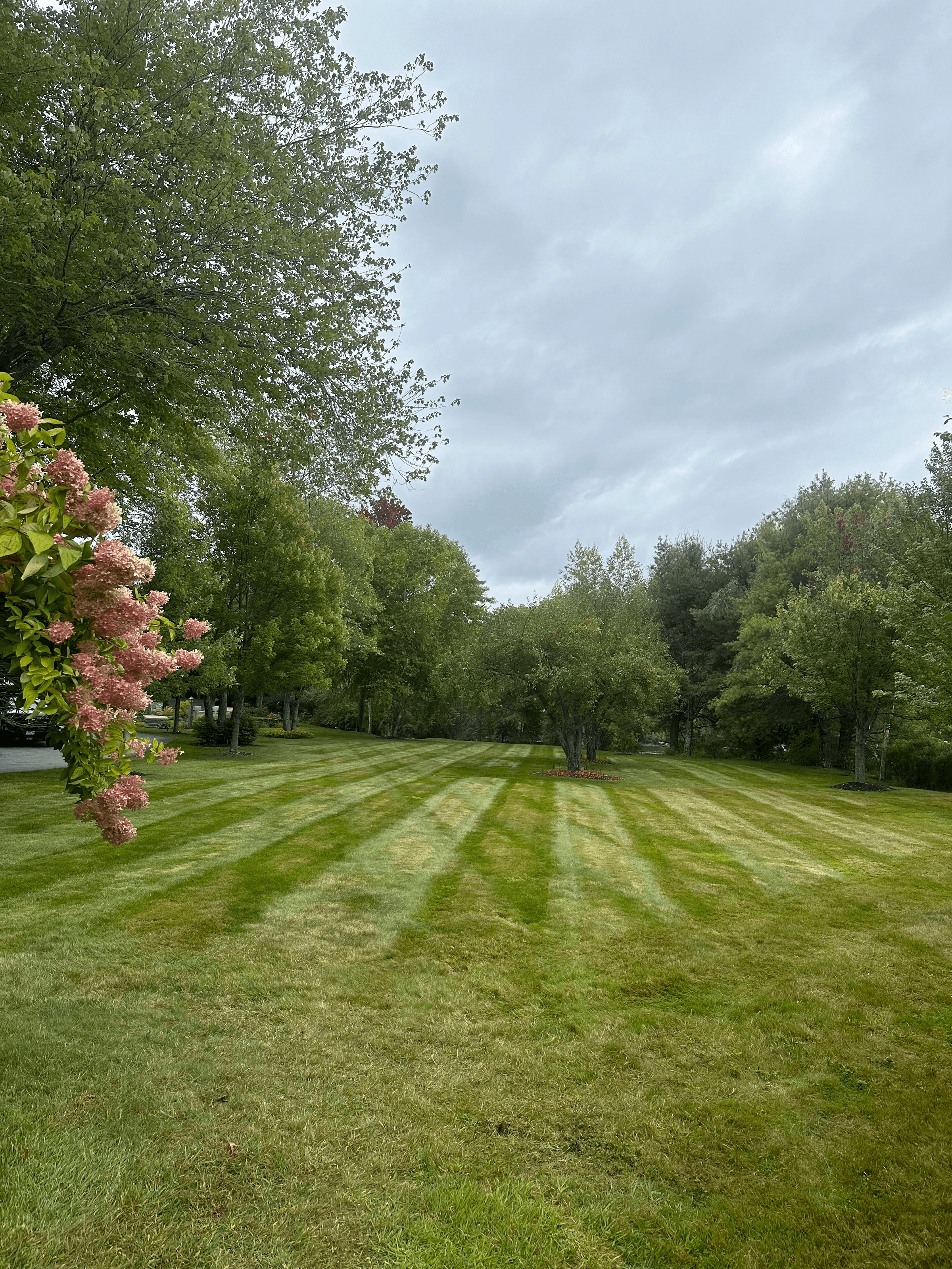 Tanglewood Property Services's image