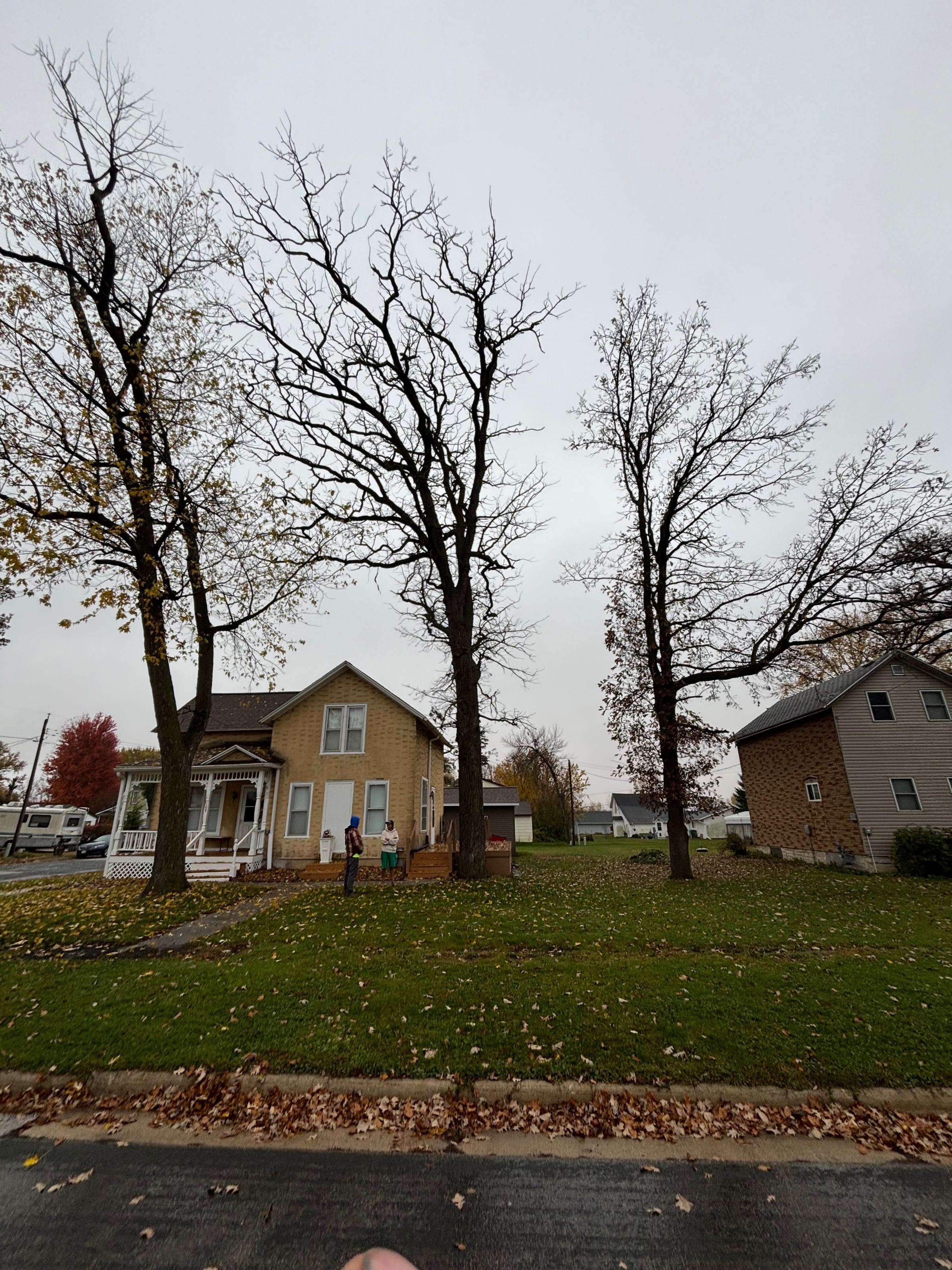 Rochesters most affordable tree and snow removal service 's image