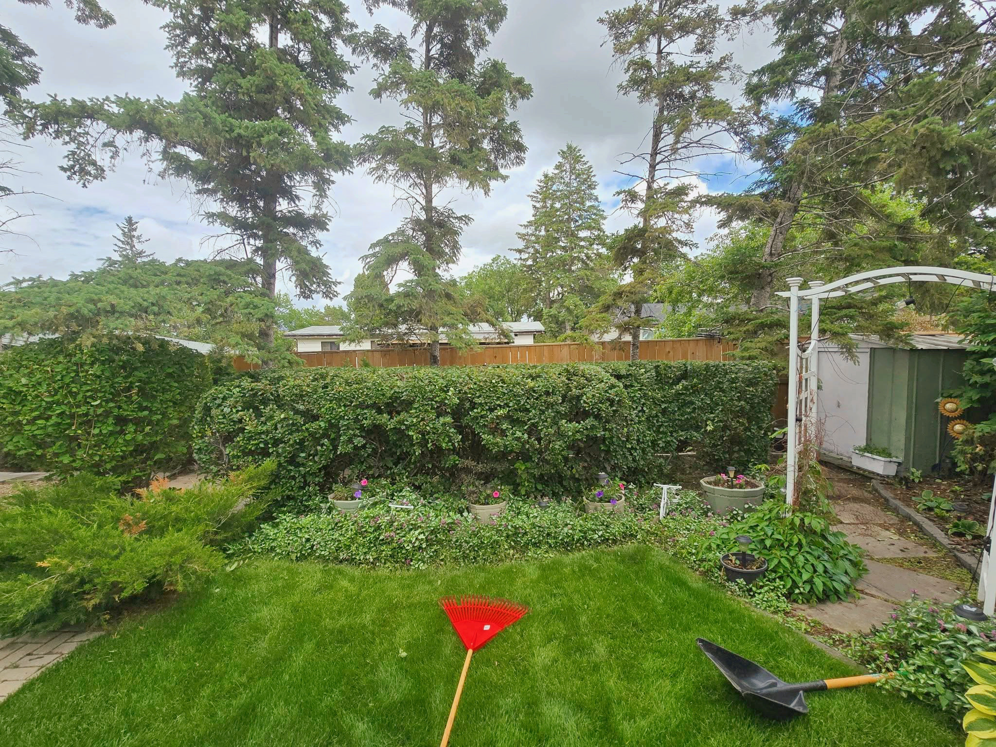Clip & Trim 
Yard Maintainence's image