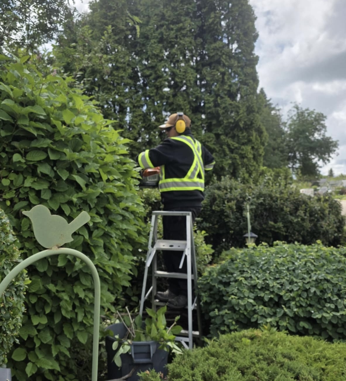 Clip & Trim 
Yard Maintainence's image