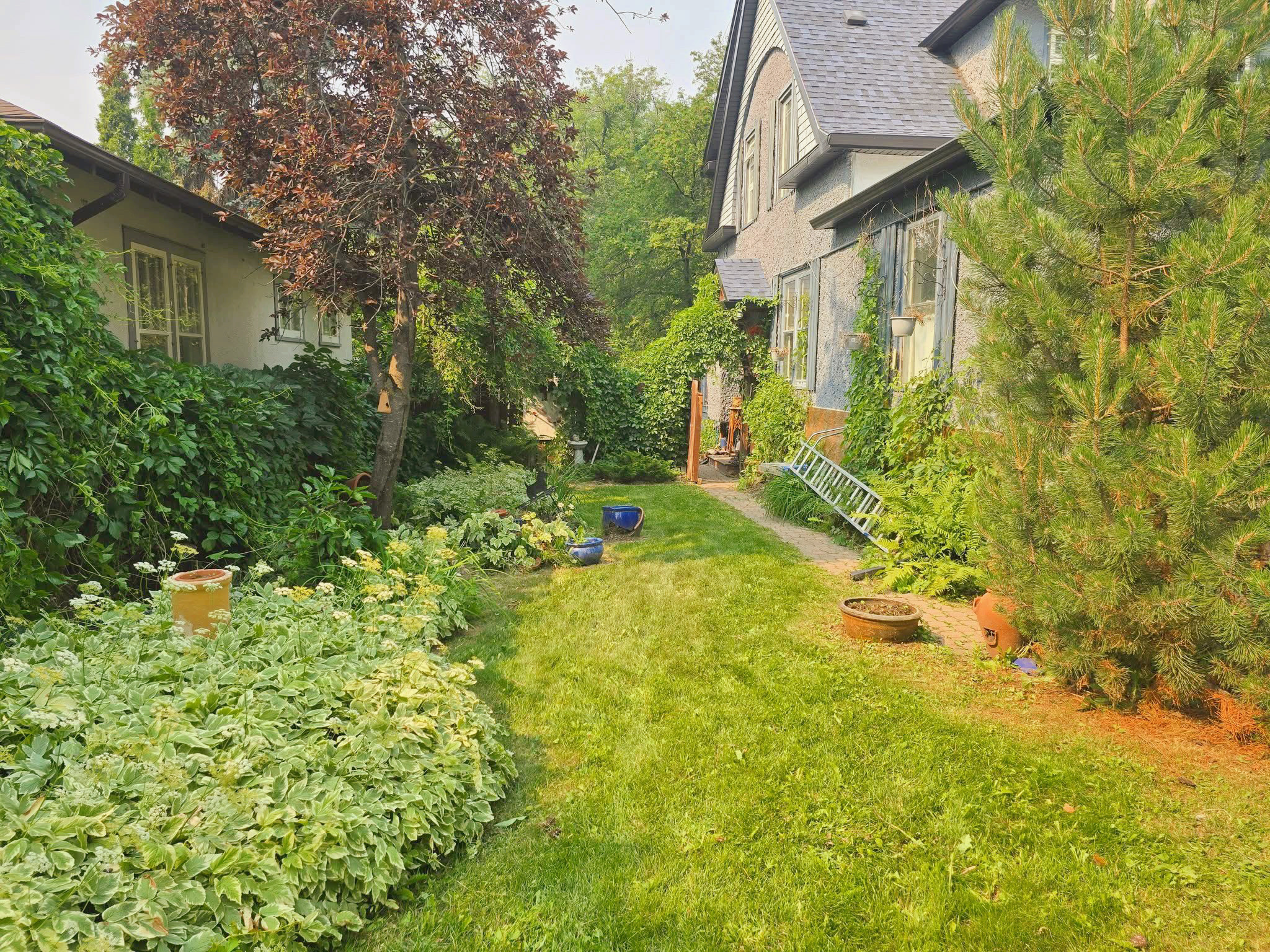 Clip & Trim 
Yard Maintainence's image