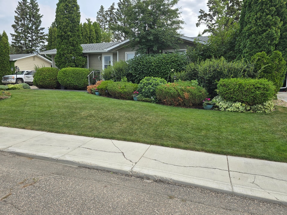 Clip & Trim 
Yard Maintainence's image