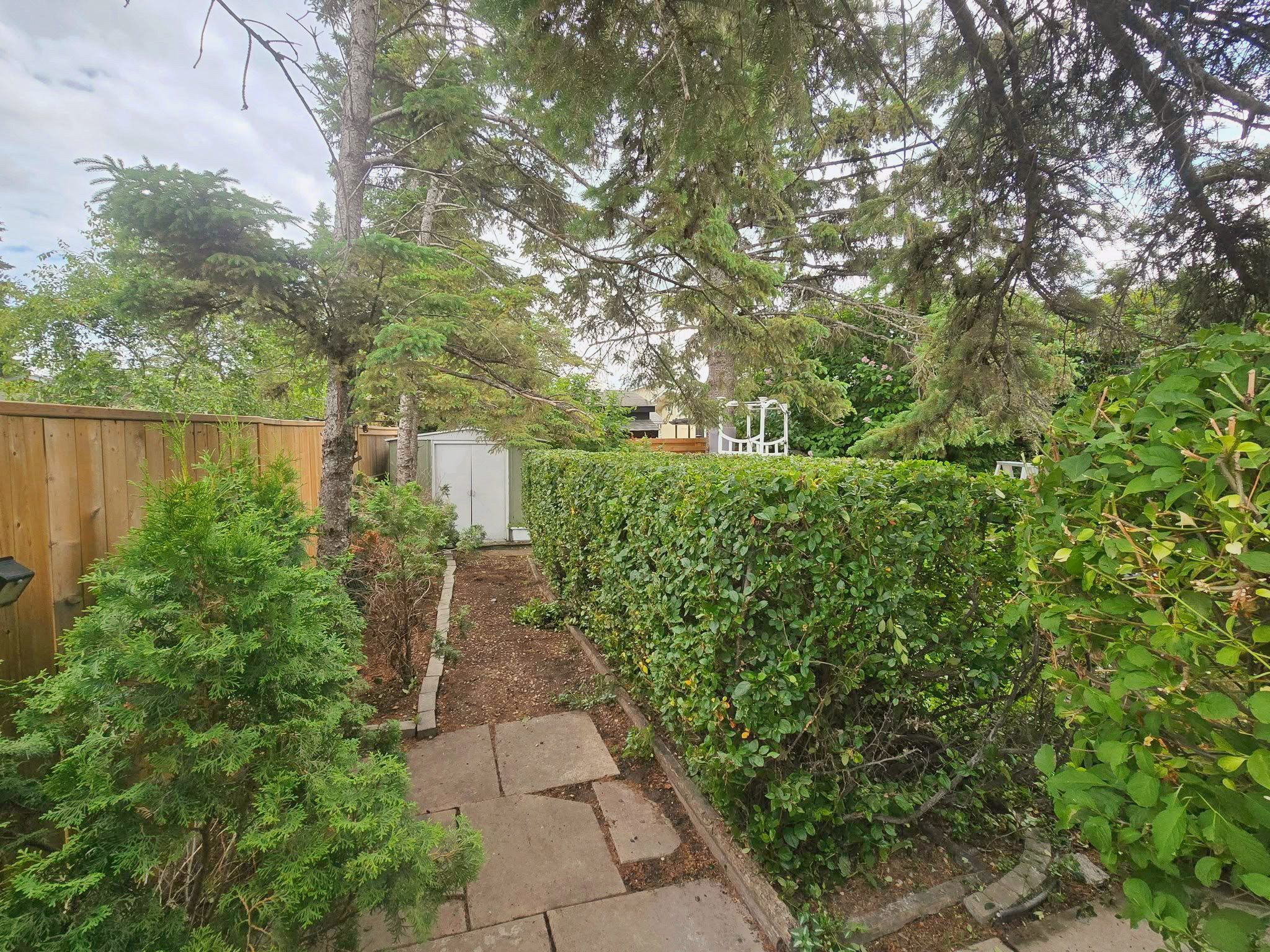 Clip & Trim 
Yard Maintainence's image
