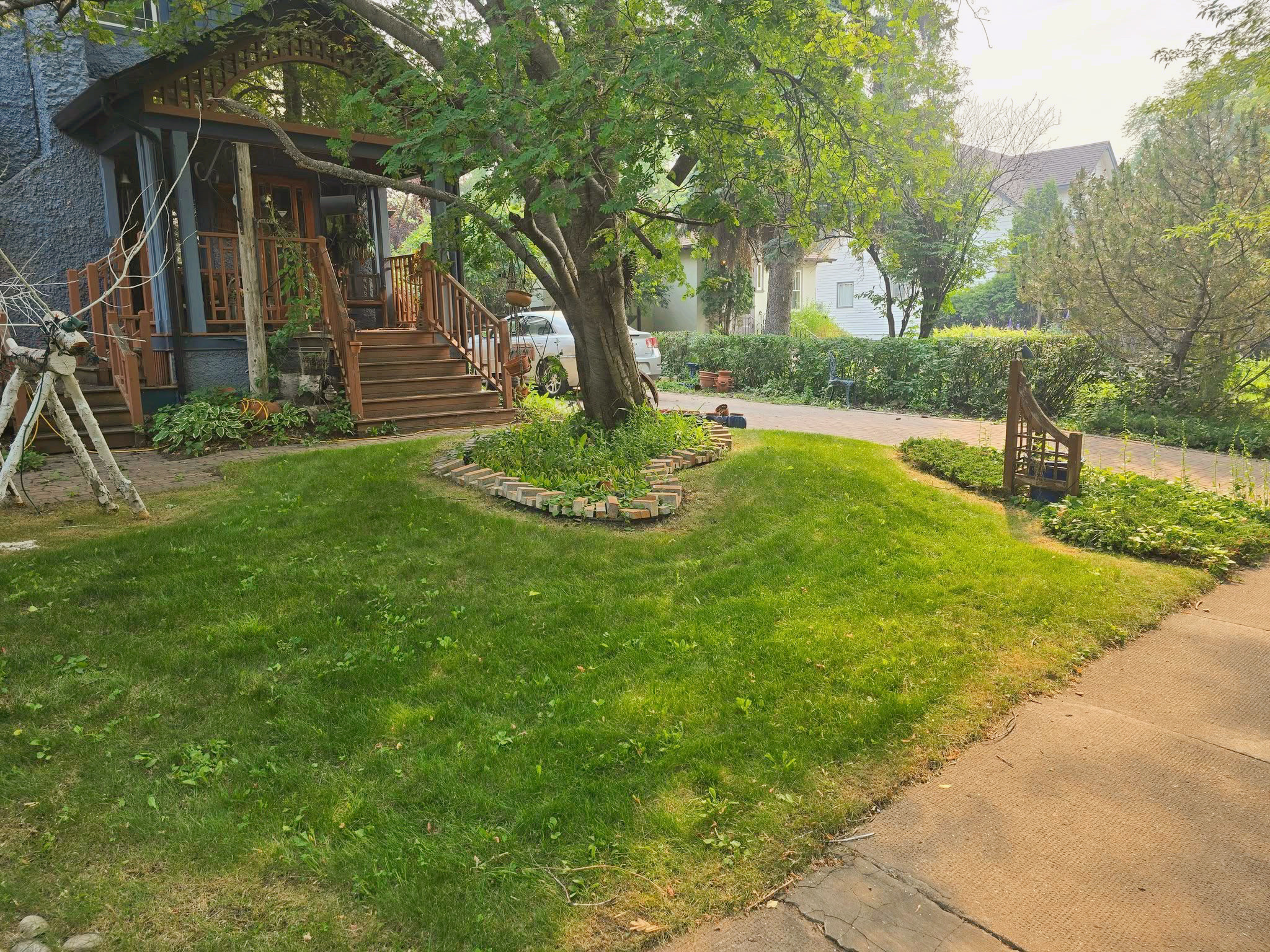 Clip & Trim 
Yard Maintainence's image