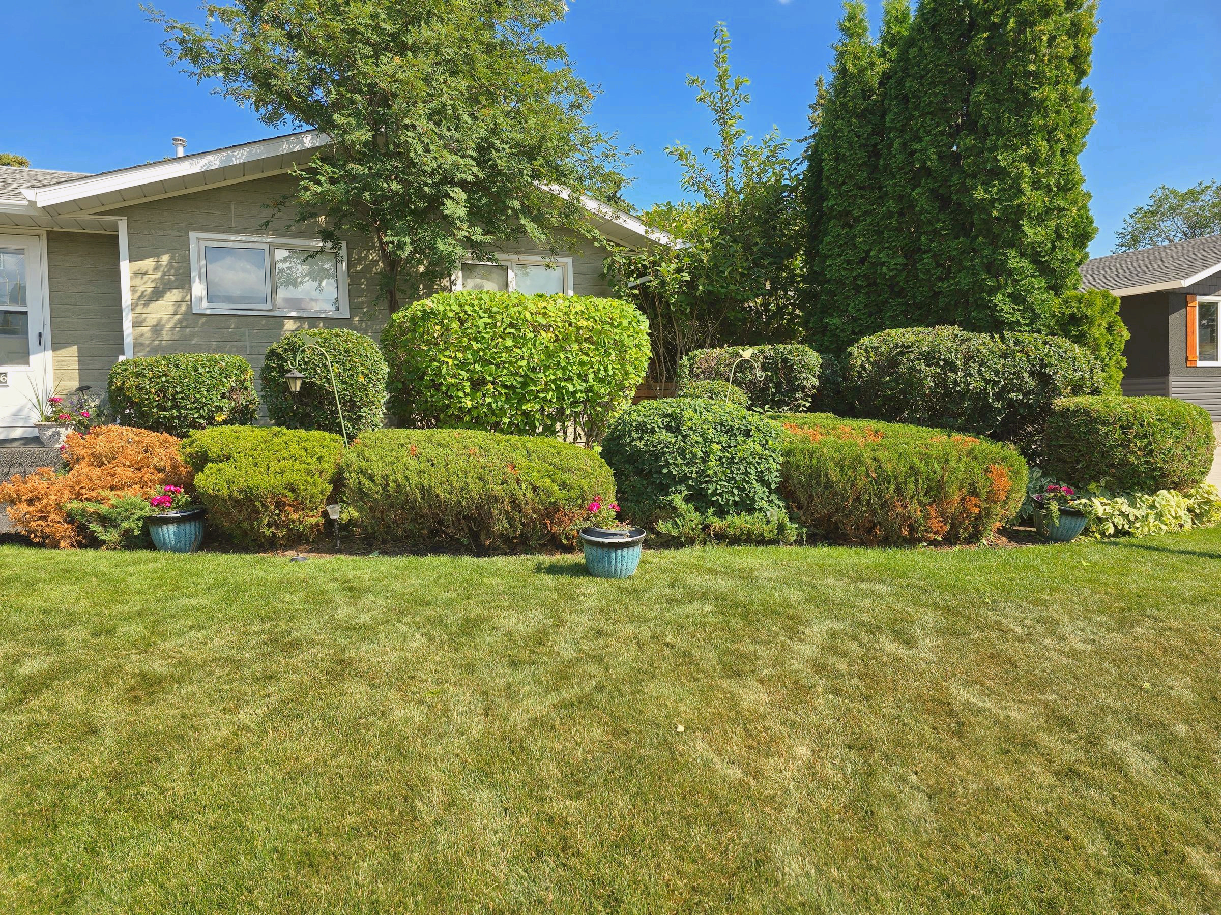 Clip & Trim 
Yard Maintainence's image