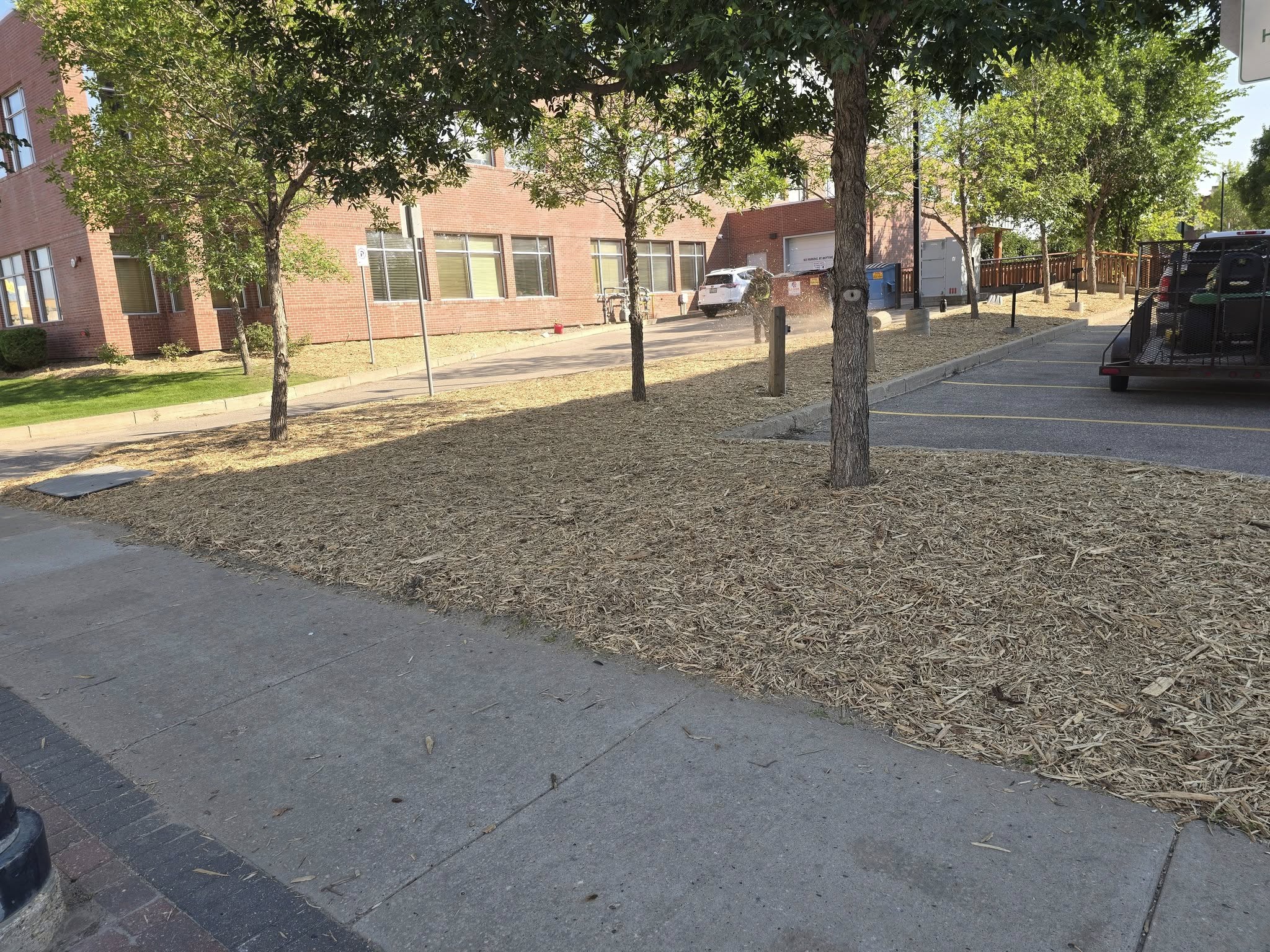 Clip & Trim 
Yard Maintainence's image