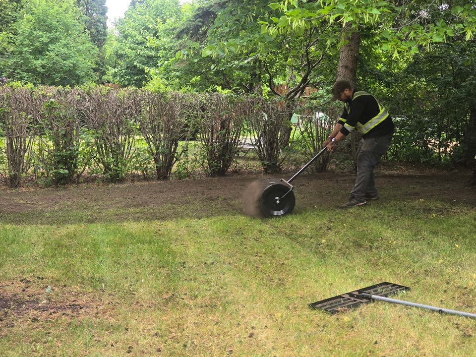 Clip & Trim 
Yard Maintainence's image