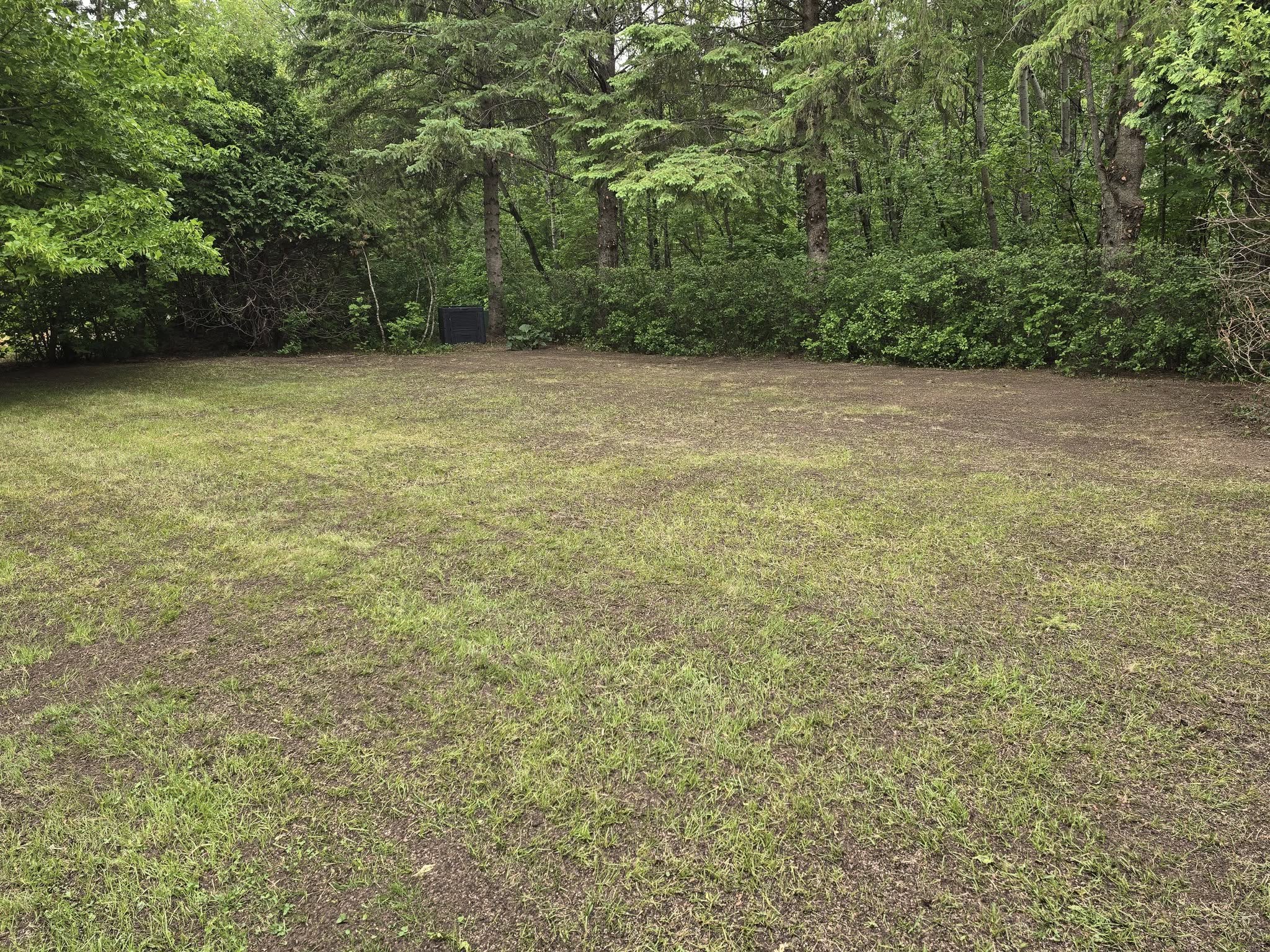 Clip & Trim 
Yard Maintainence's image