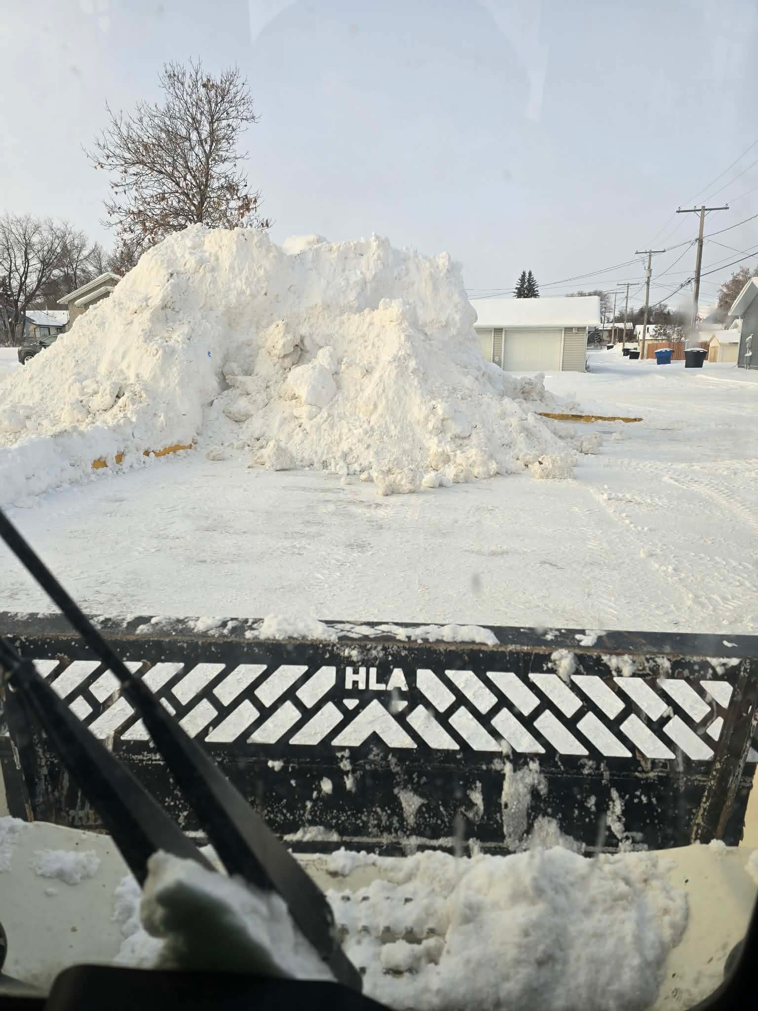 Clip & Trim 
Yard Maintainence's image