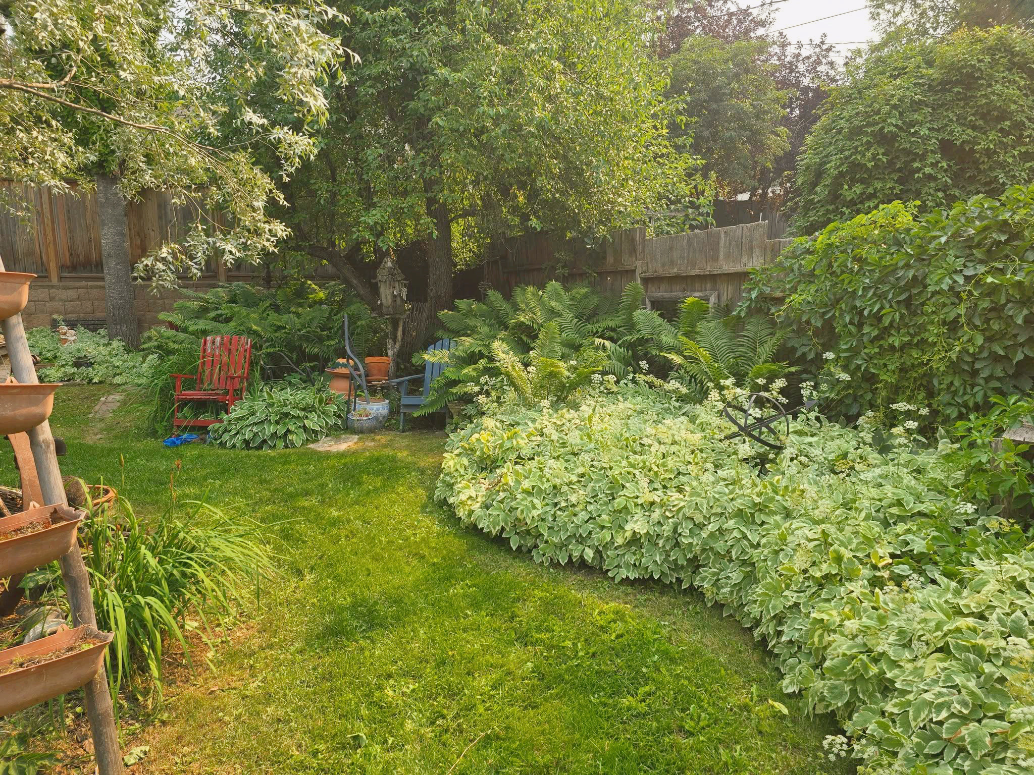 Clip & Trim 
Yard Maintainence's image